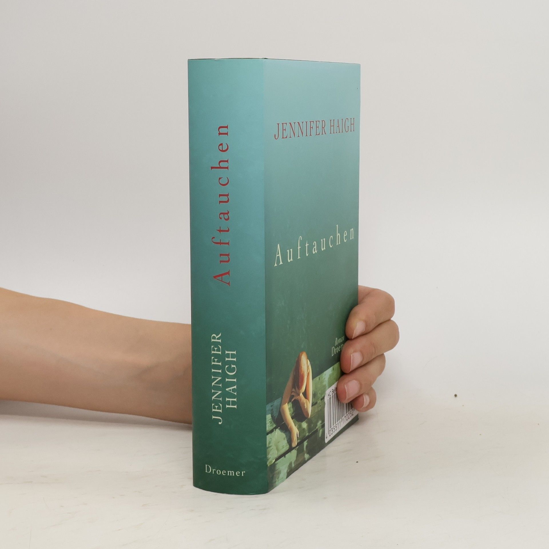 Jennifer Haigh Auftauchen