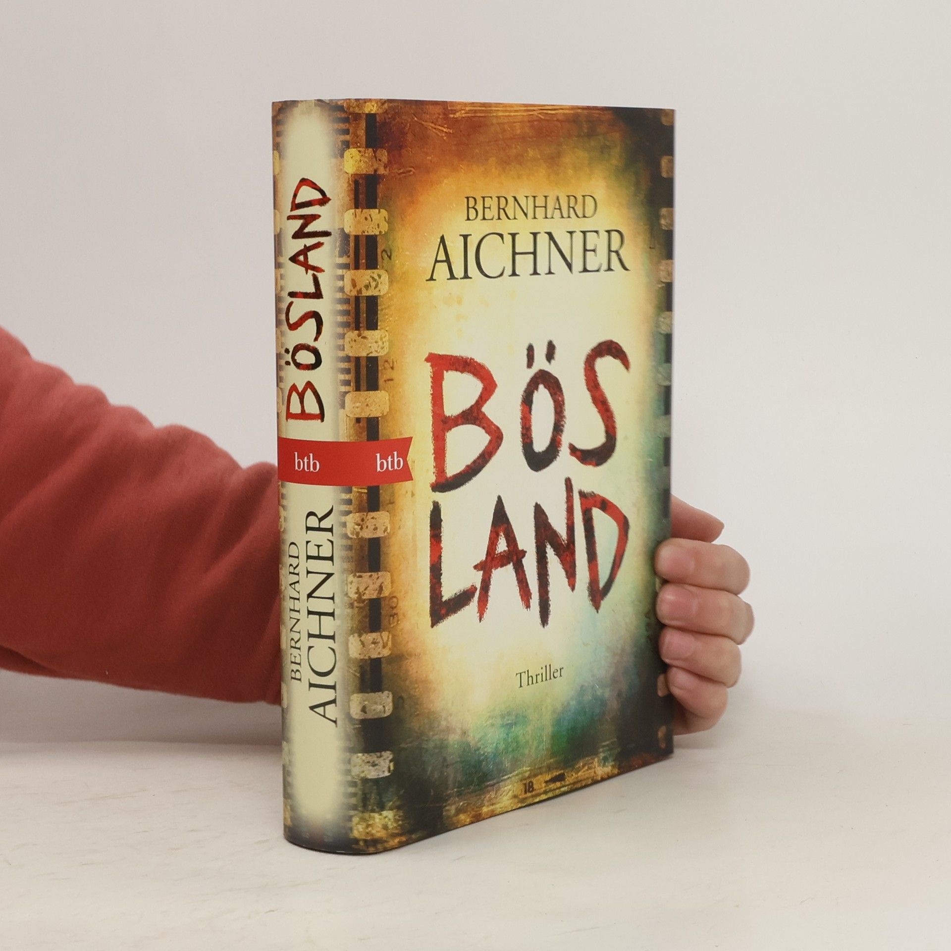 Bernhard Aichner Bösland