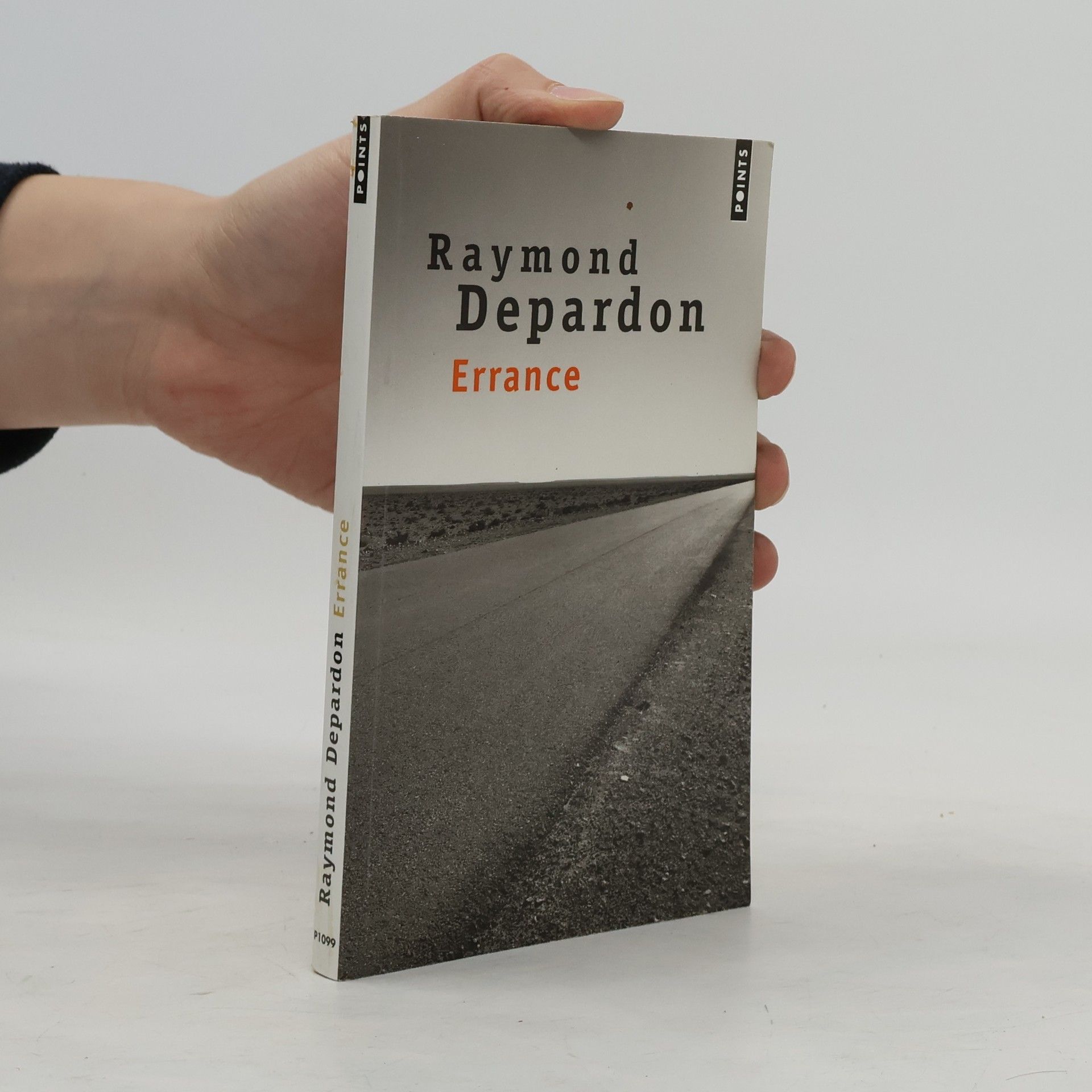 Raymond Depardon Errance