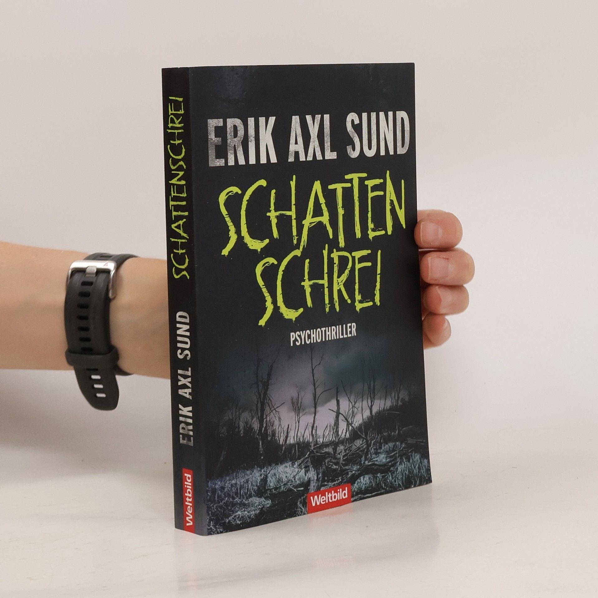 Erik Axl Sund Schattenschrei