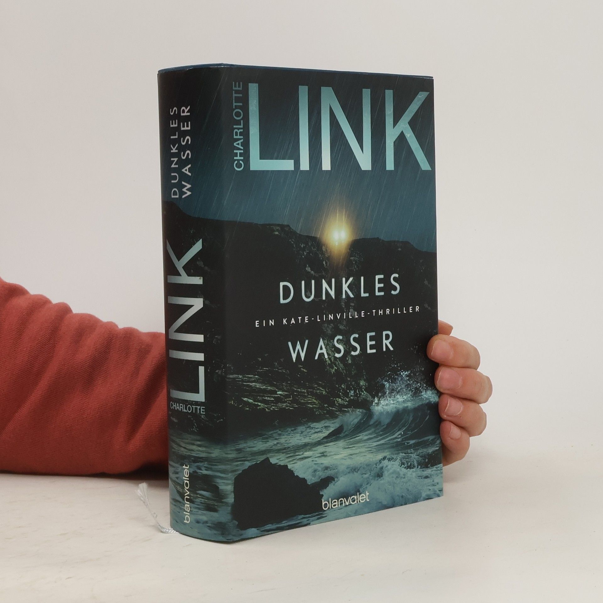 Charlotte Link Dunkles Wasser