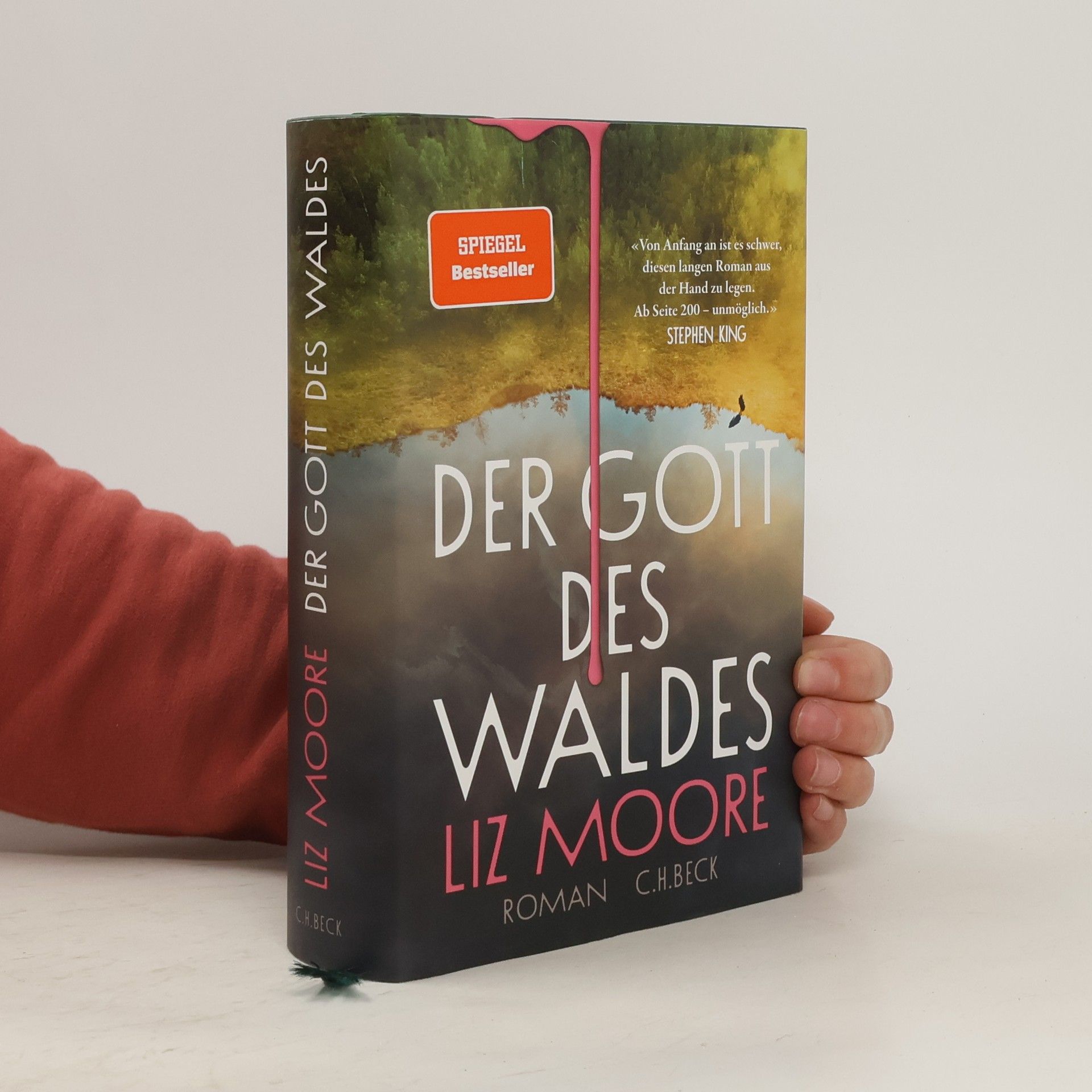 Liz Moore Der Gott des Waldes