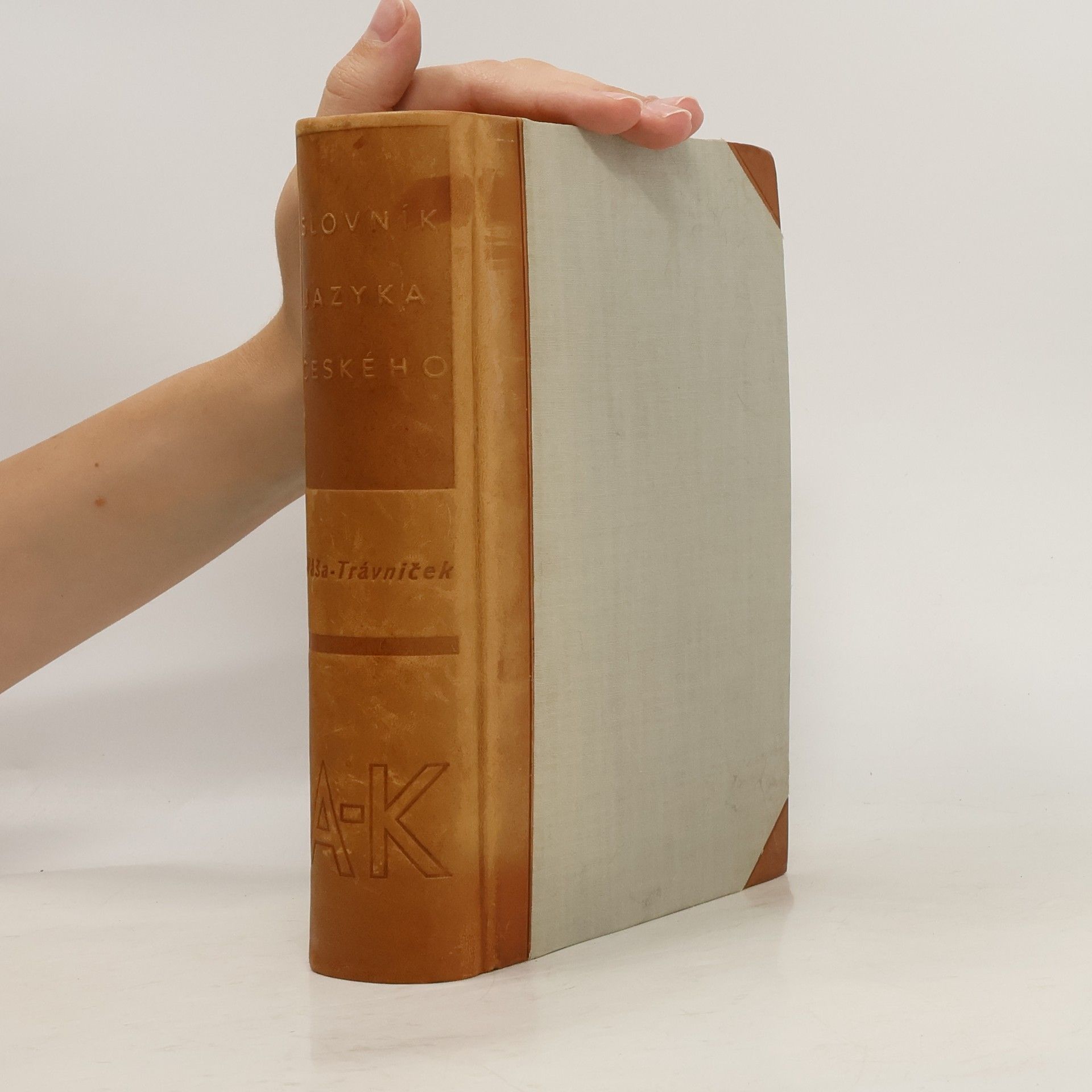 Pavel Váša Slovník jazyka českého. A-K