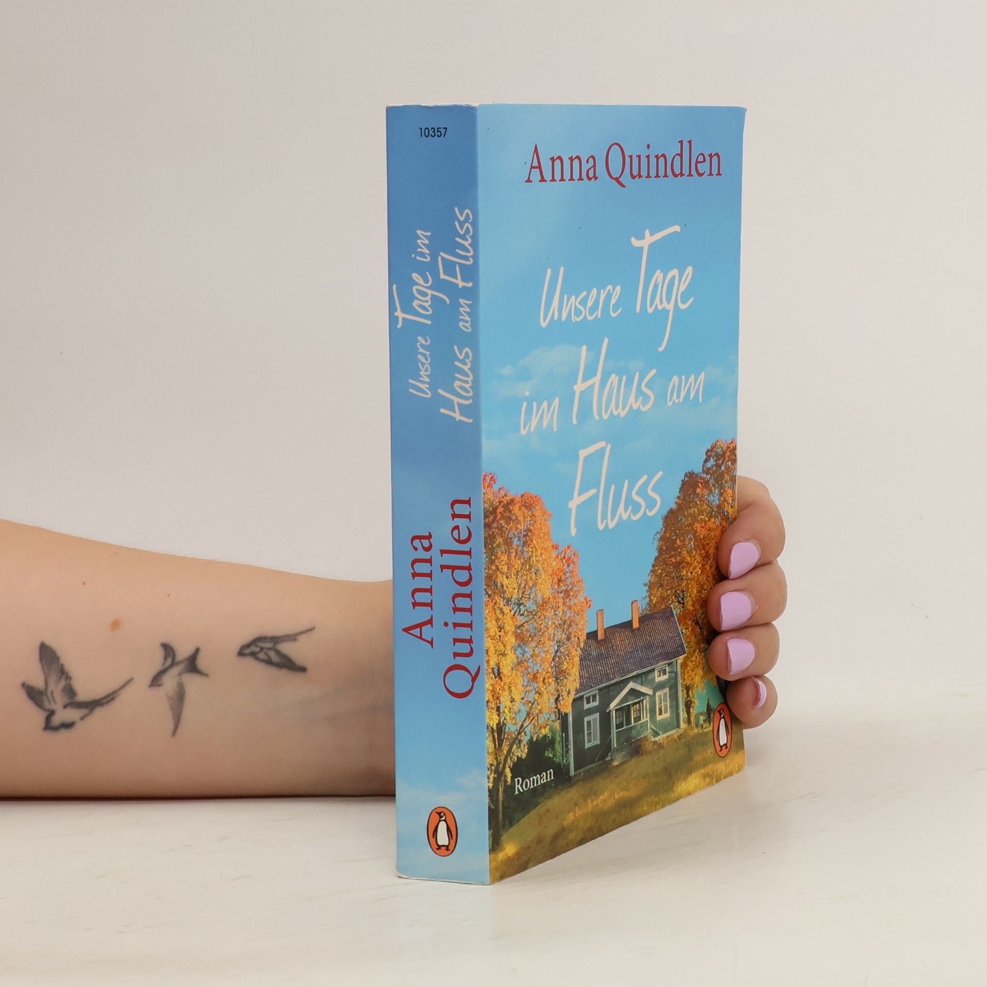 Anna Quindlen Unsere Tage im Haus am Fluss