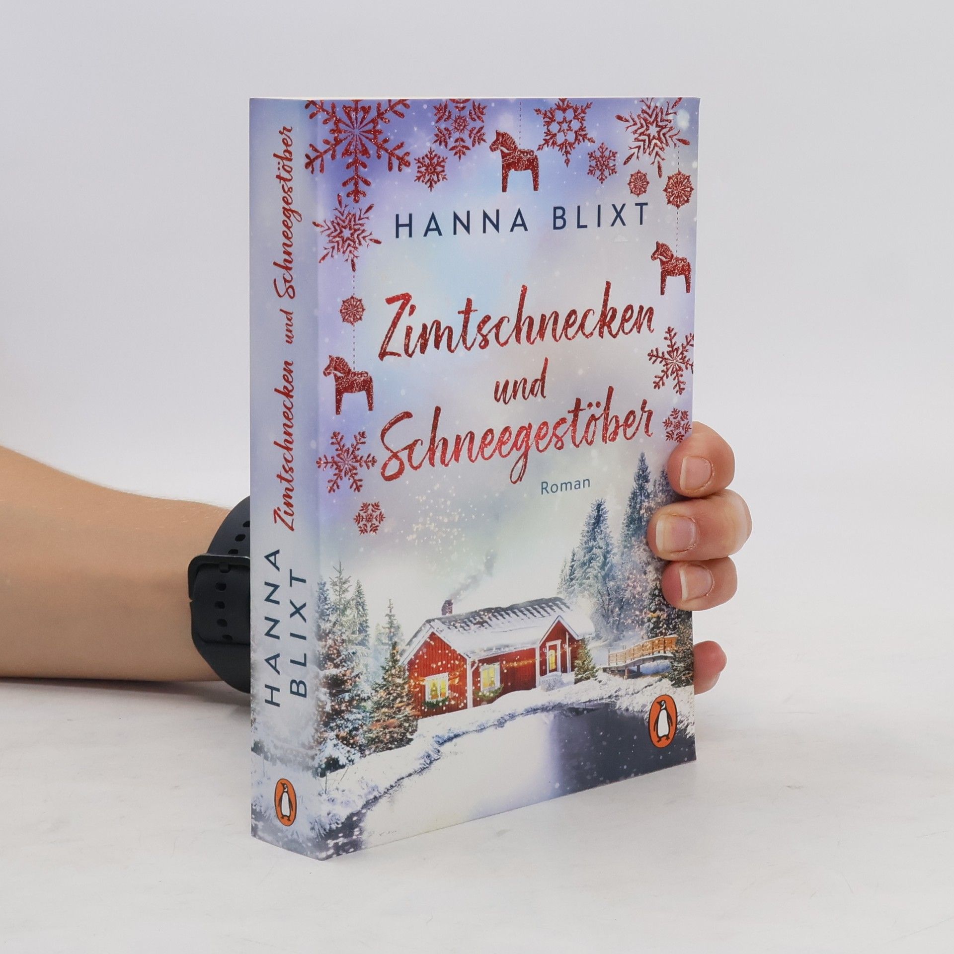 Hanna Blixt Zimtschnecken und Schneegestöber