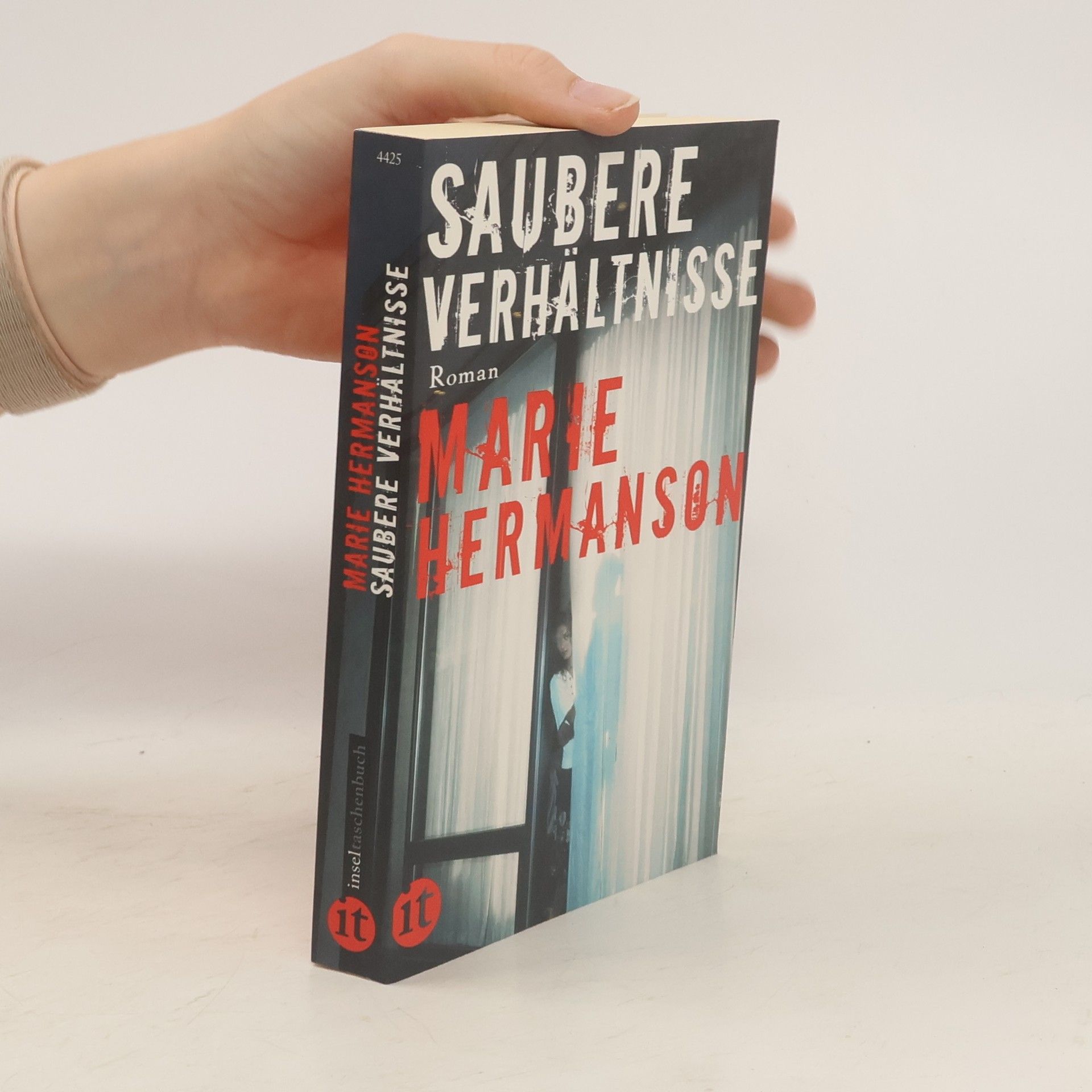 Marie Hermanson Saubere Verhältnisse