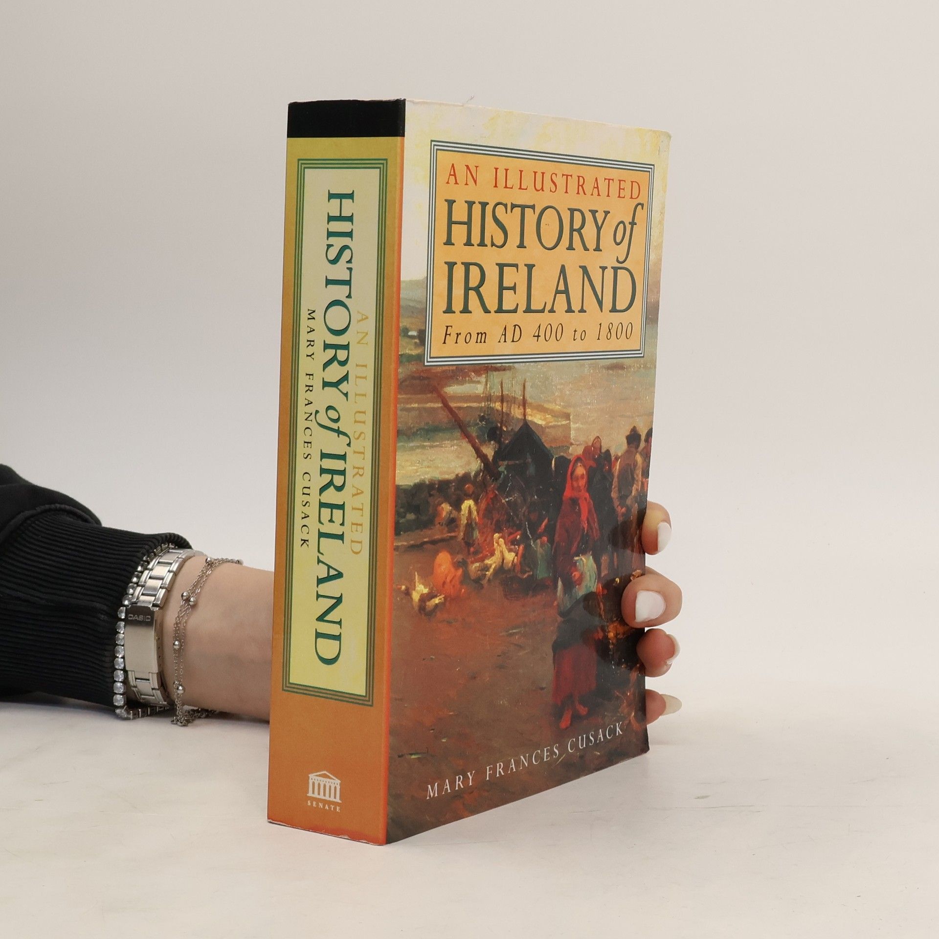 Mary Francis Cusack An Illustrated History of Ireland