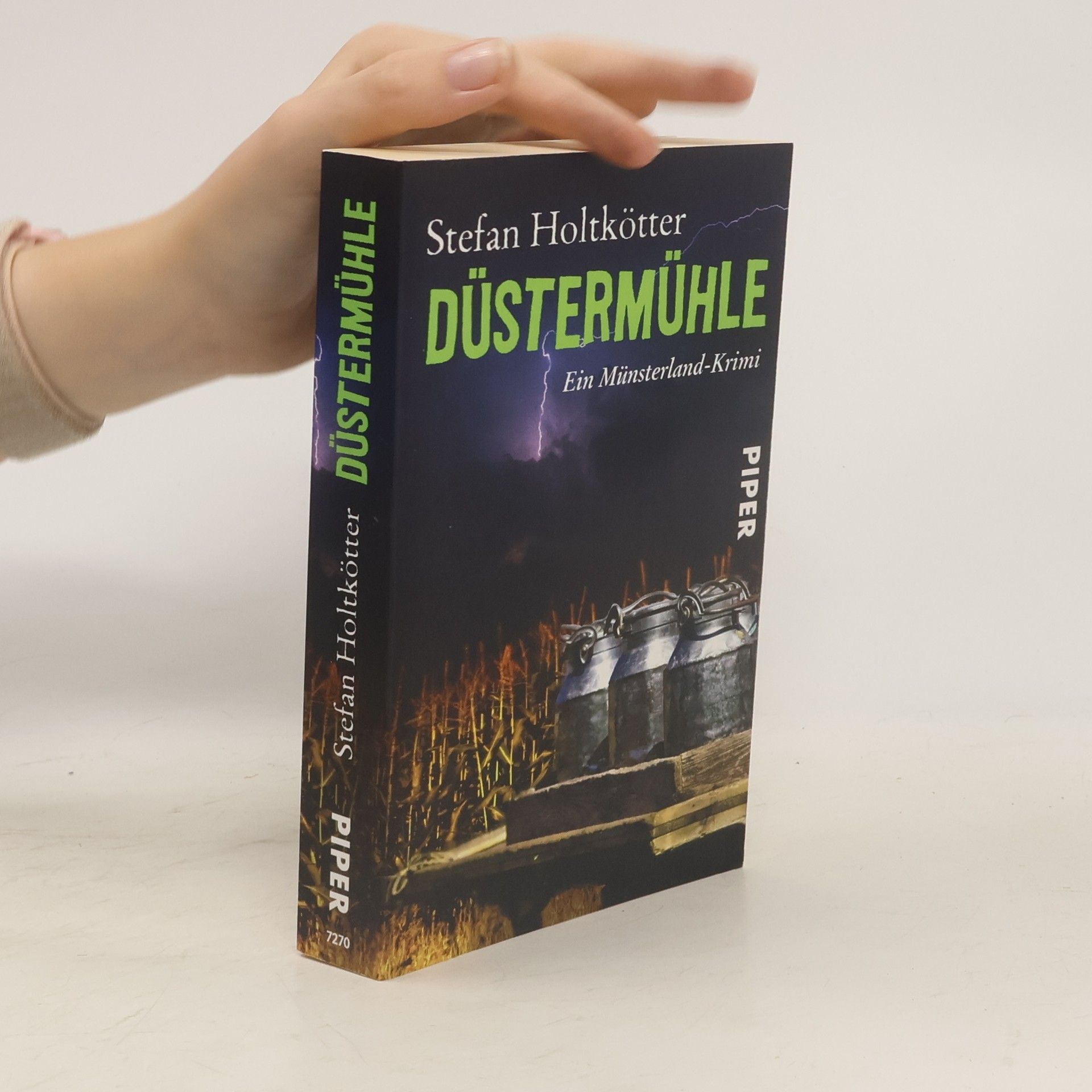 Stefan Holtkötter Düstermühle