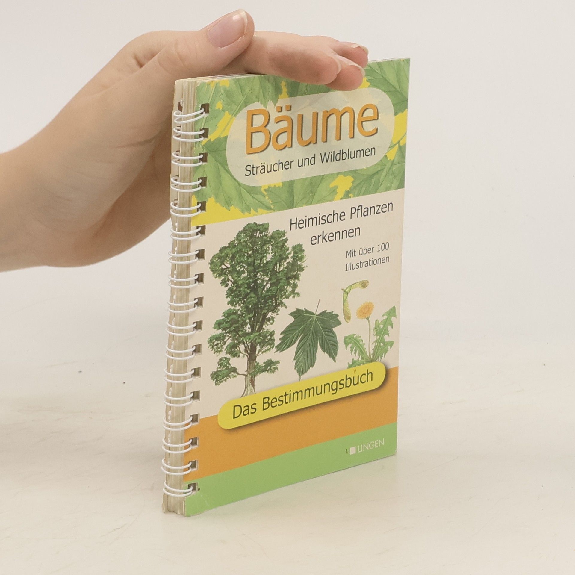 kolektiv Bäume. Sträucher und Wildblumen