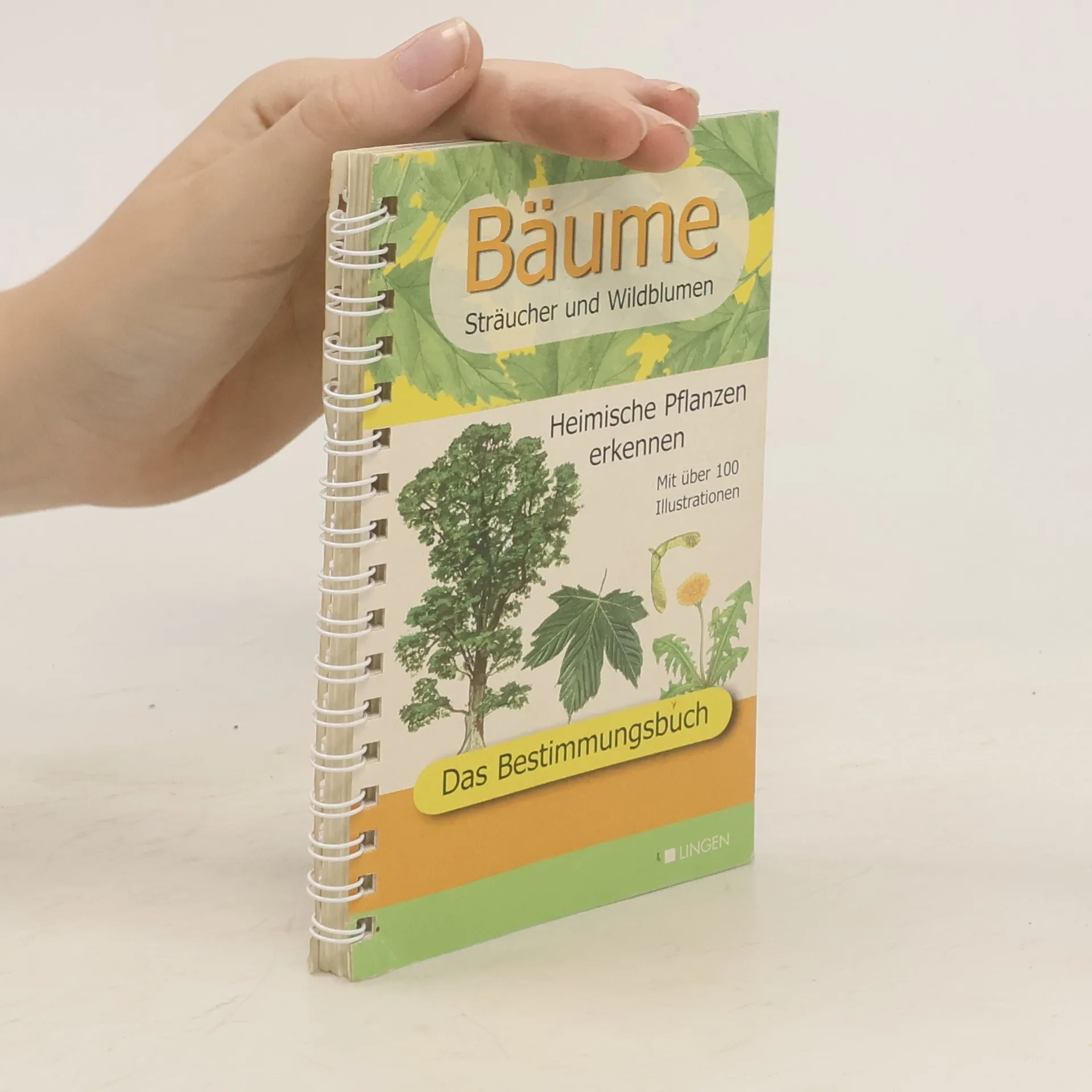 Bäume. Sträucher und Wildblumen | kolektiv | Buch