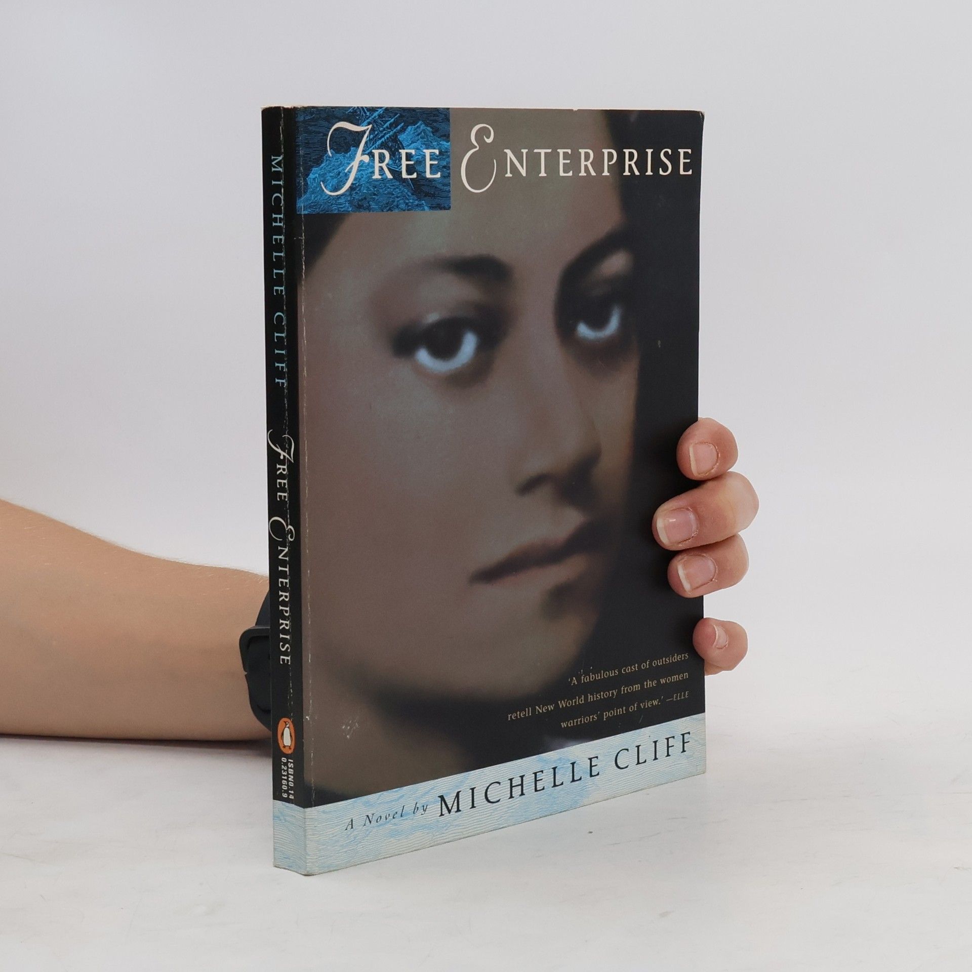 Michelle Cliff Free Enterprise
