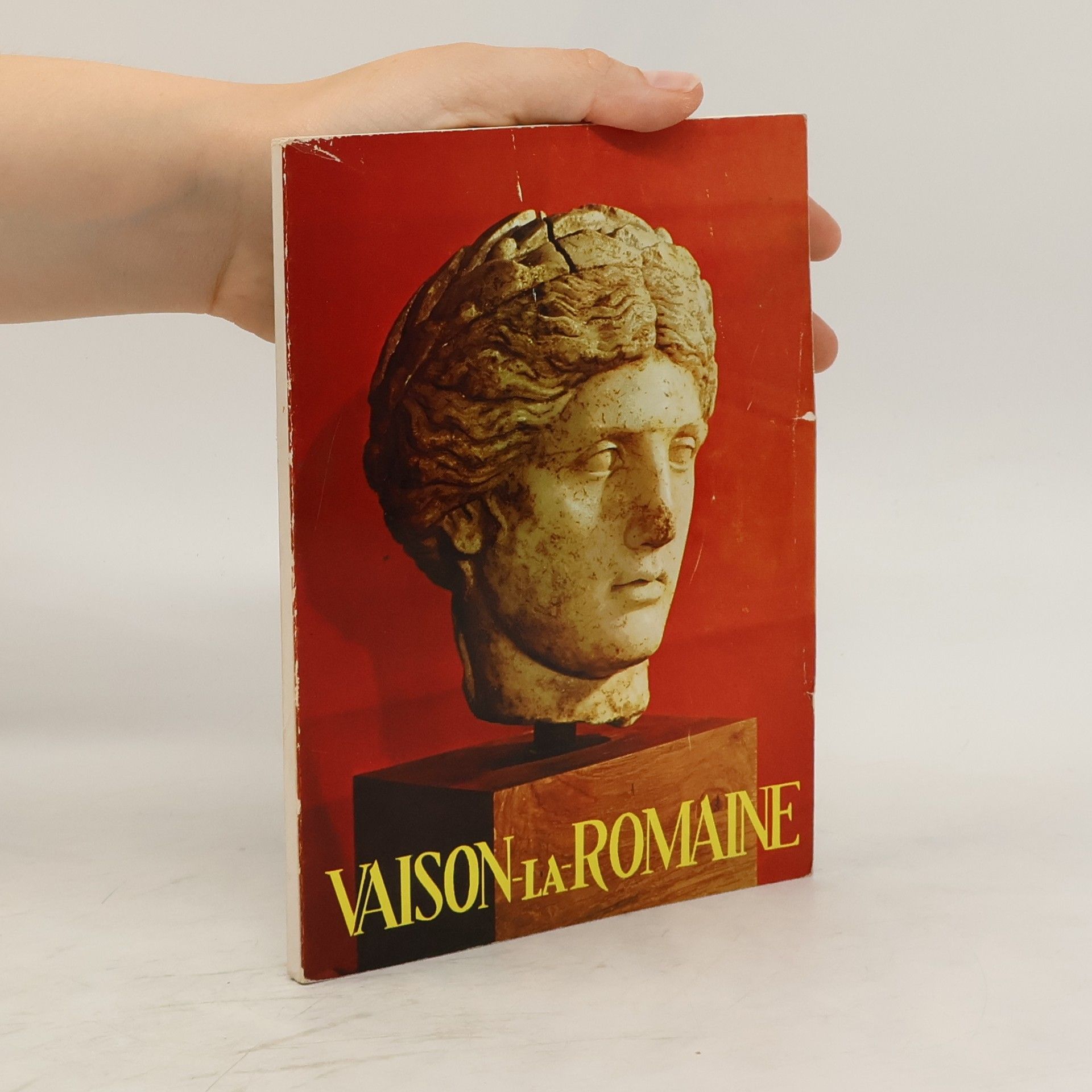 André Dumoulin Vaison la romaine - guided archéologique