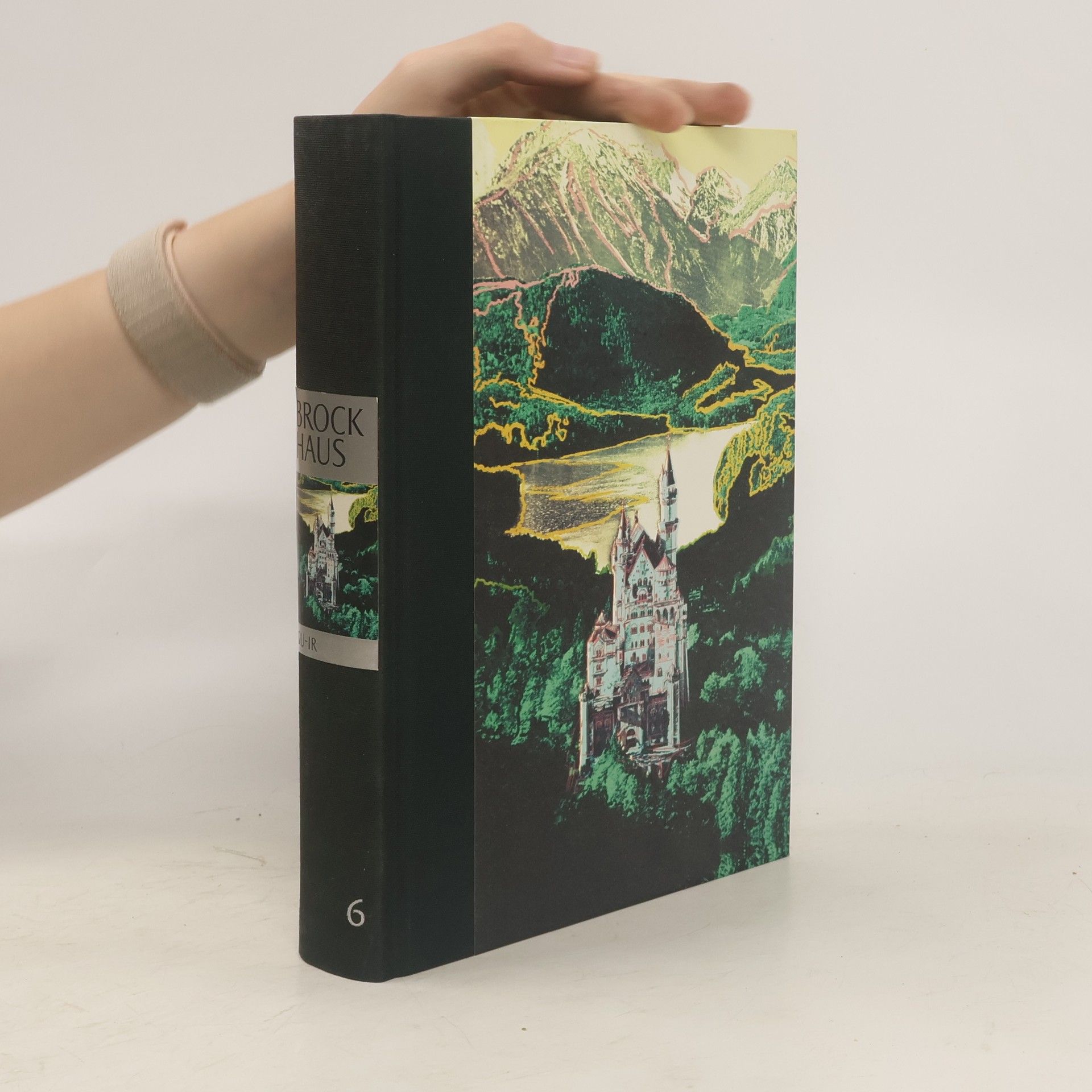 Collectif d'auteurs Der Brockhaus 6