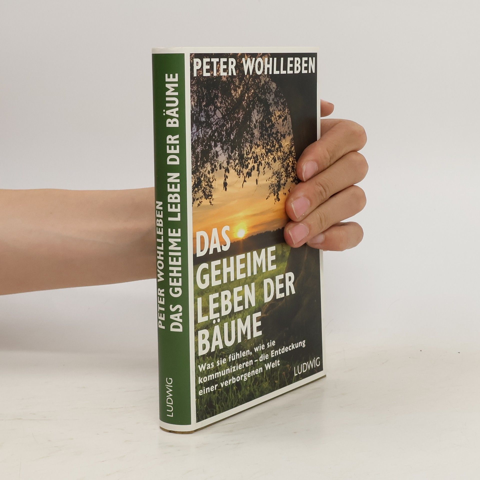 Peter Wohlleben Das geheime Leben der Bäume