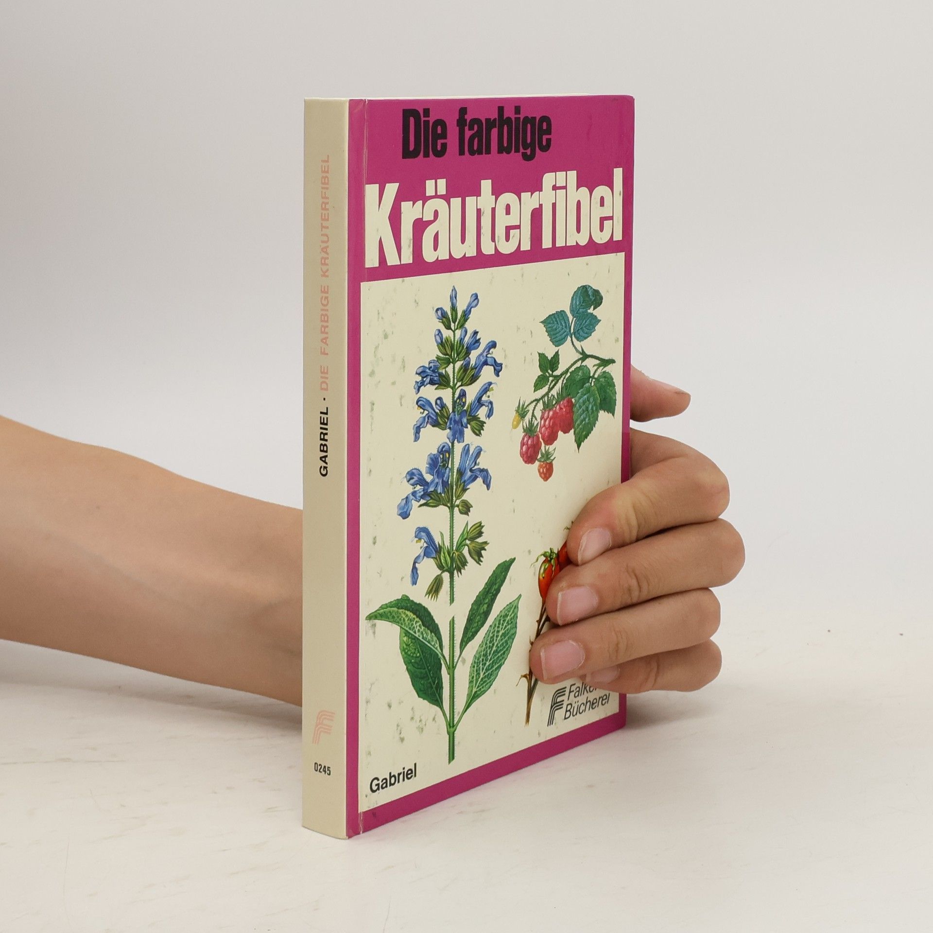Ingrid Gabriel Die farbige Kräuterfibel