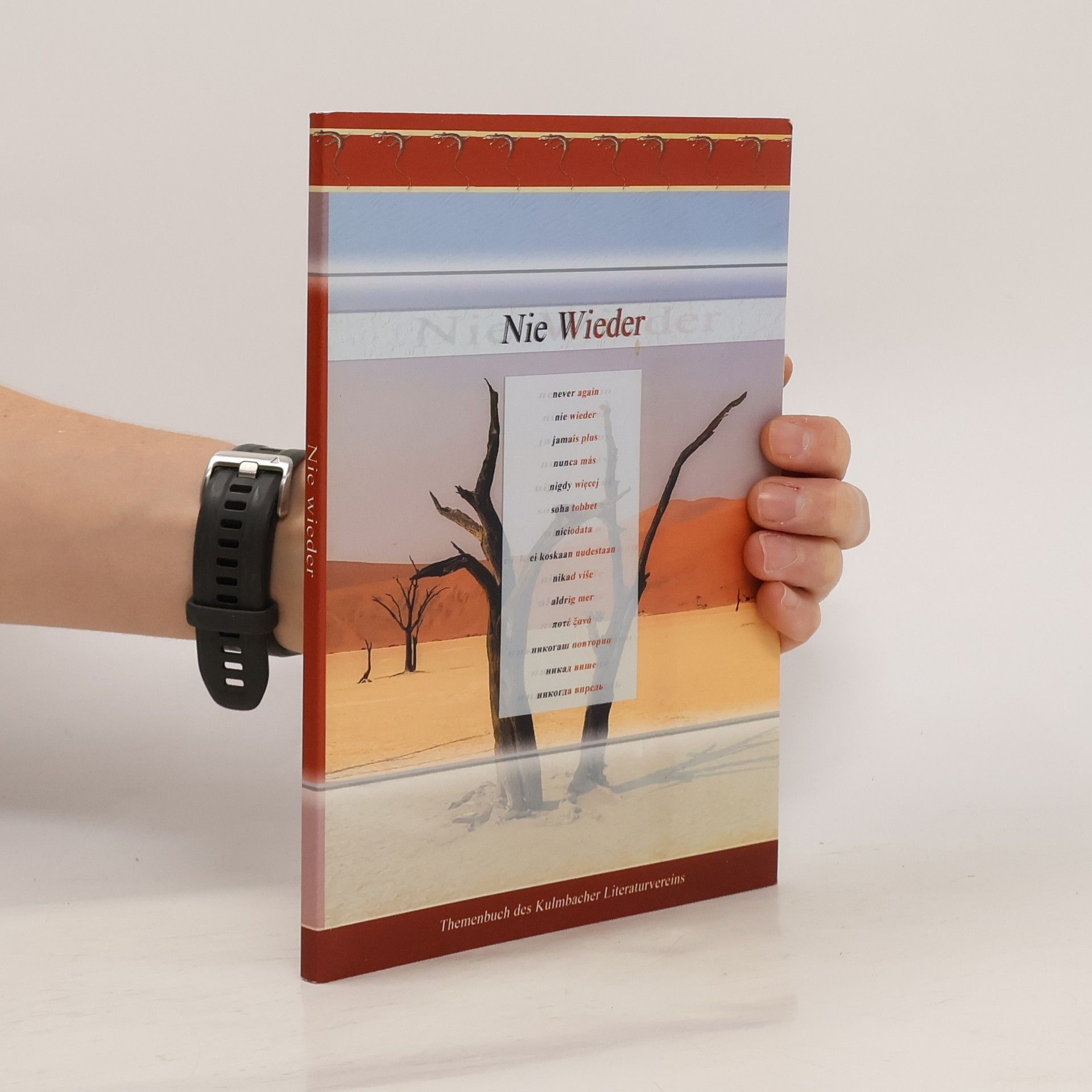 Autorenkollektiv Nie Wieder