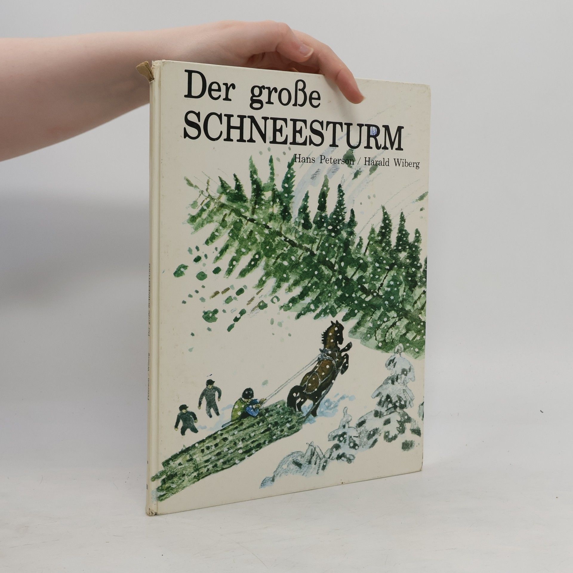 Hans Peterson Der große Schneesturm