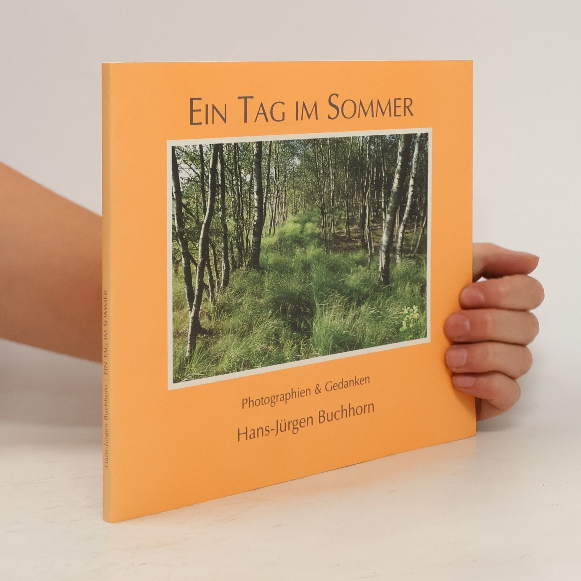 Hans-Jürgen Buchhorn Ein Tag im Sommer