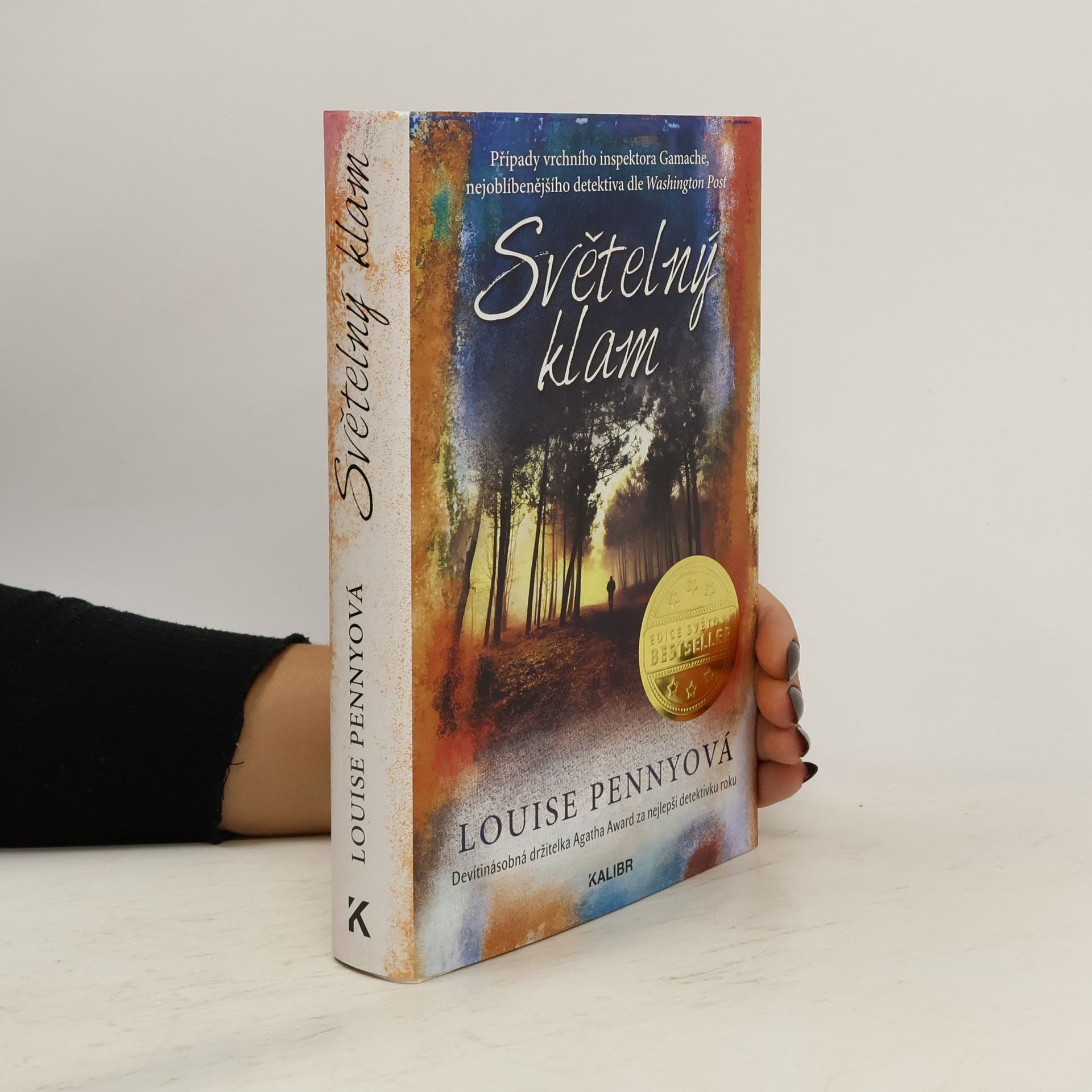 Louise Penny Světelný klam