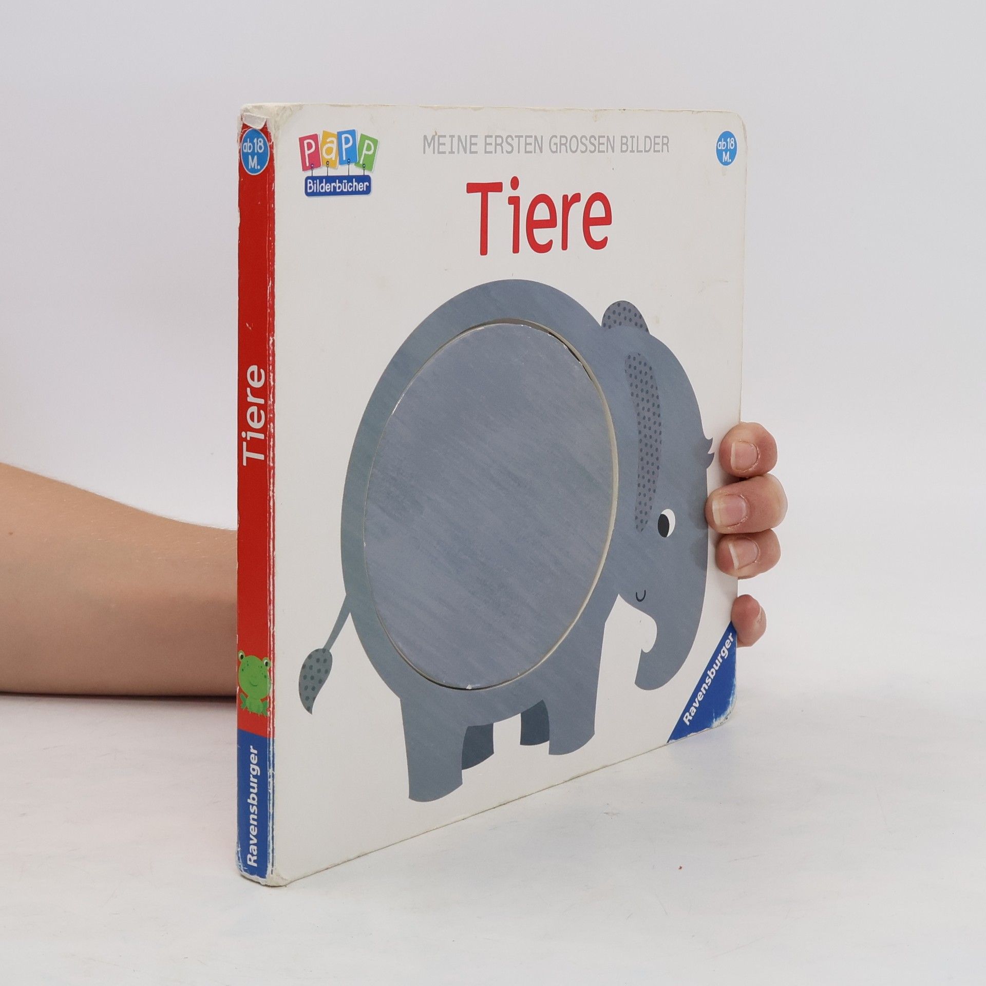 Fhiona Galloway Tiere