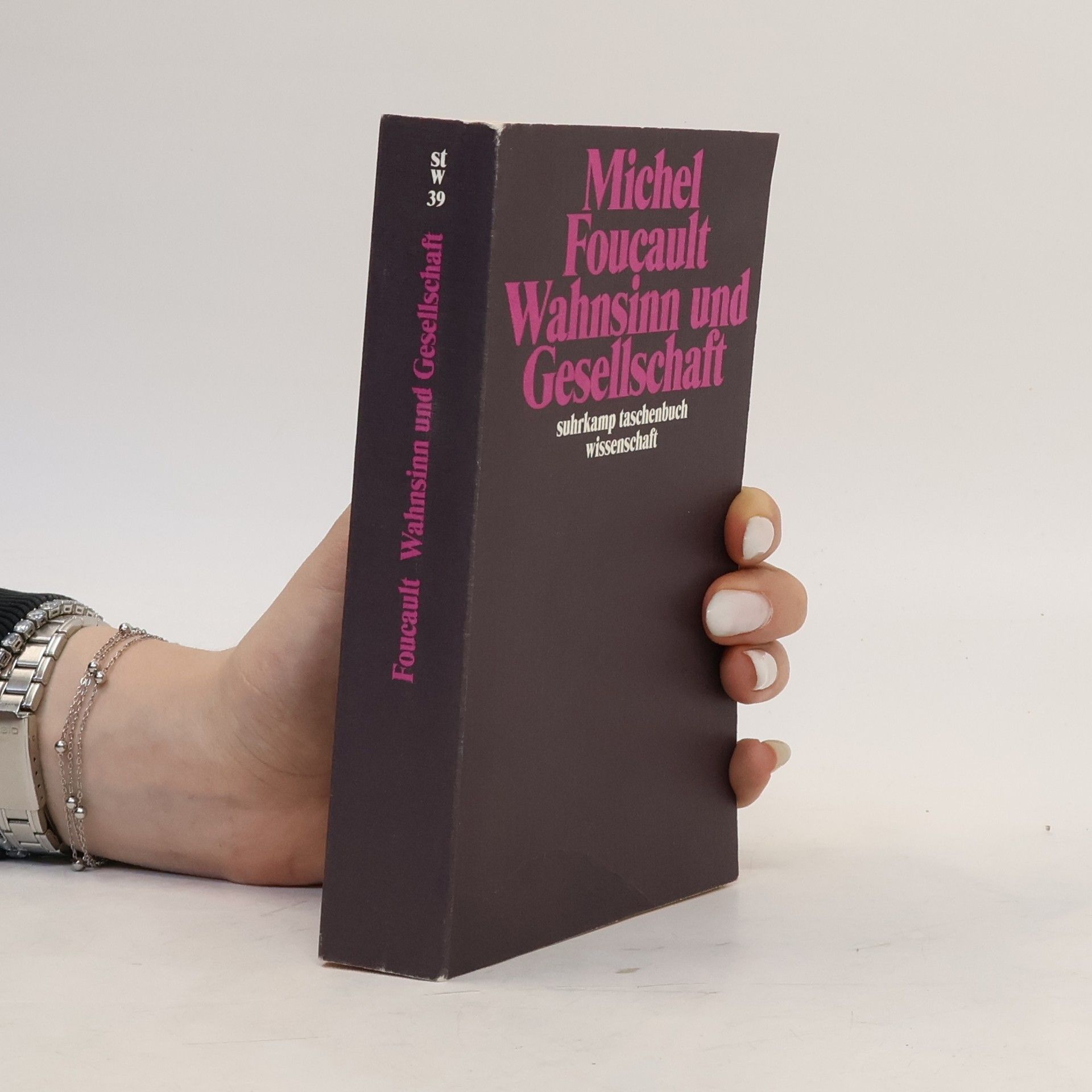 Michel Foucault Wahnsinn und Gesellschaft