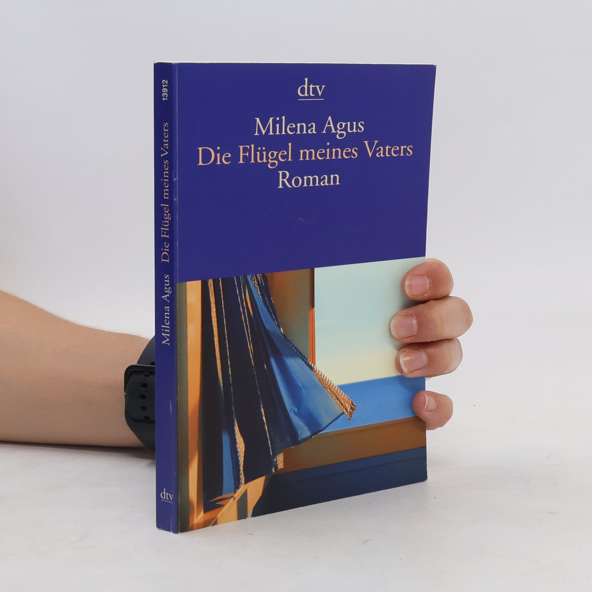 Milena Agus Die Flügel meines Vaters