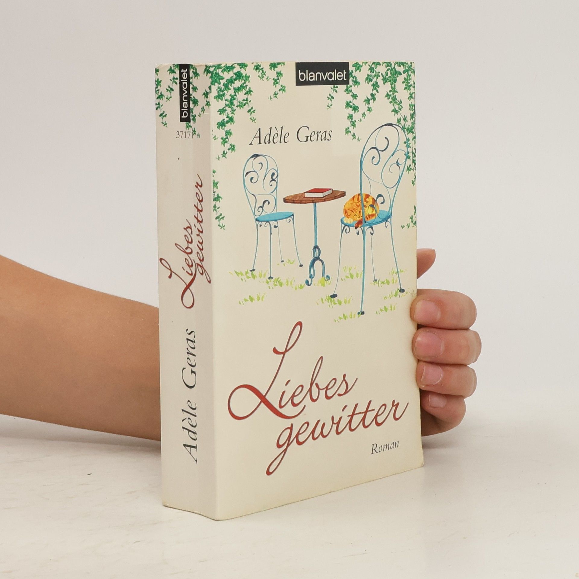 Adèle Geras Liebesgewitter. Roman