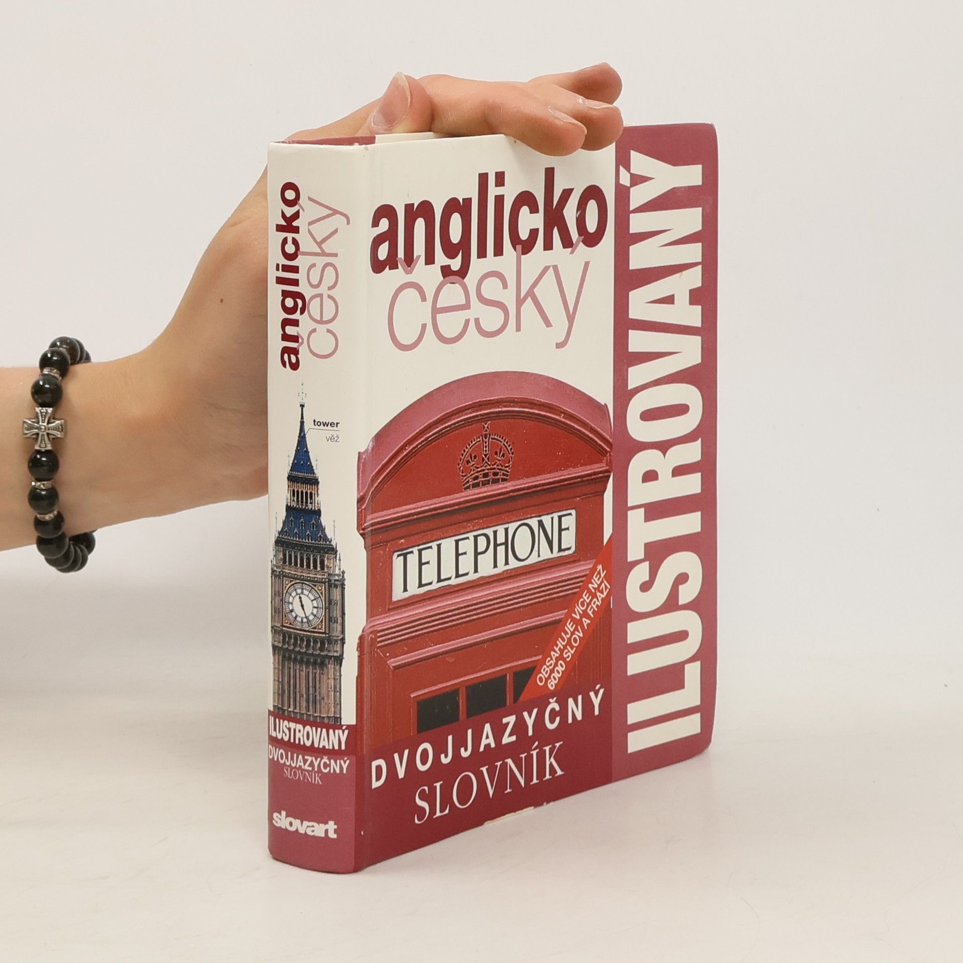 Autorenkollektiv Dvojjazyčný ilustrovaný slovník