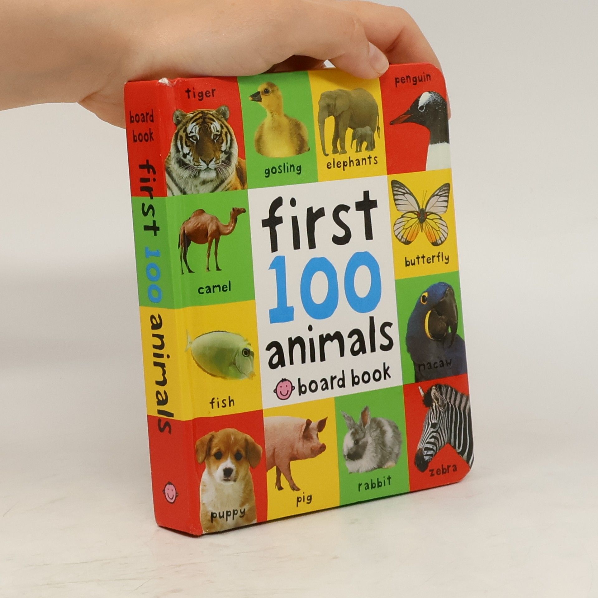 Roger Priddy First 100 Animals