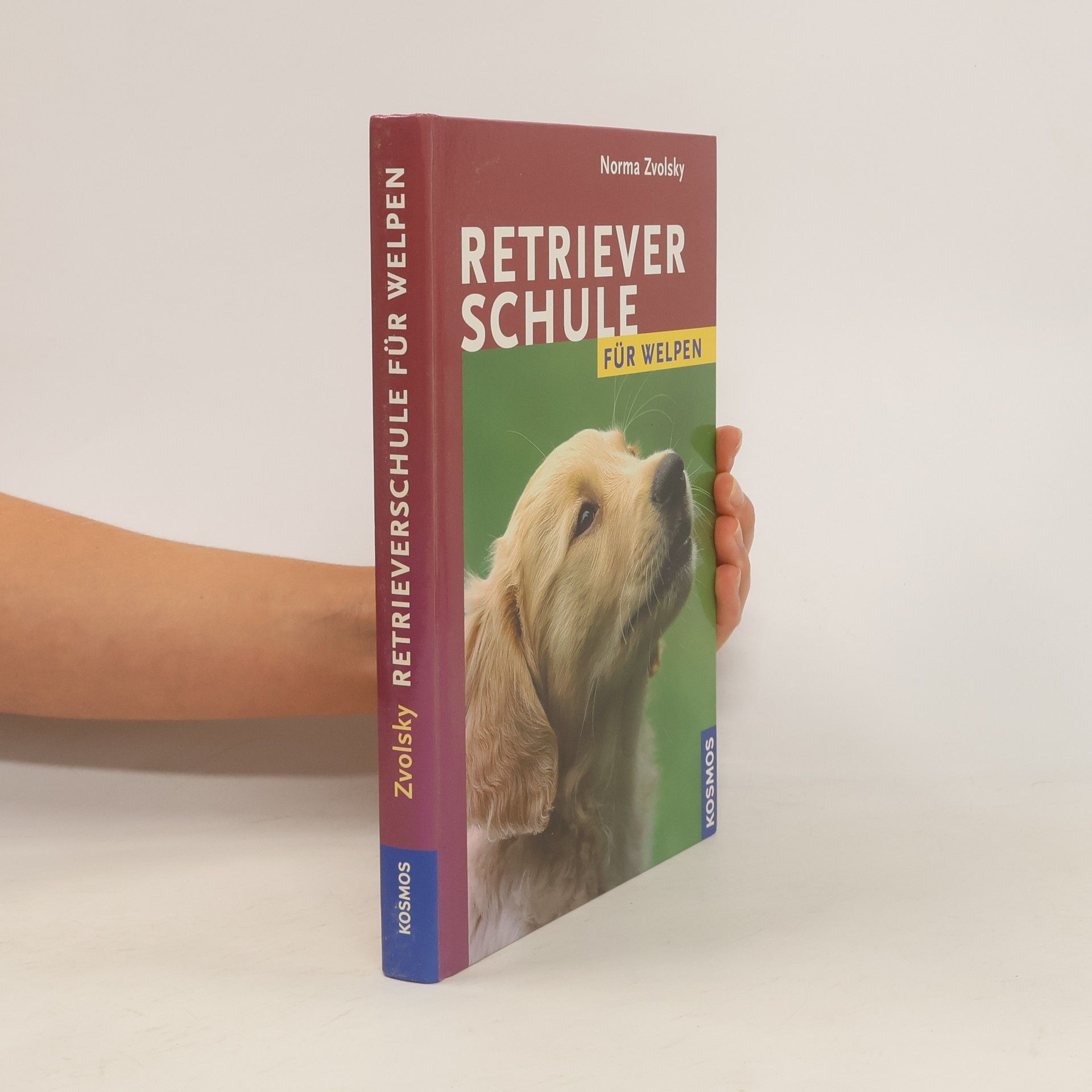 Norma Zvolsky Retrieverschule für Welpen