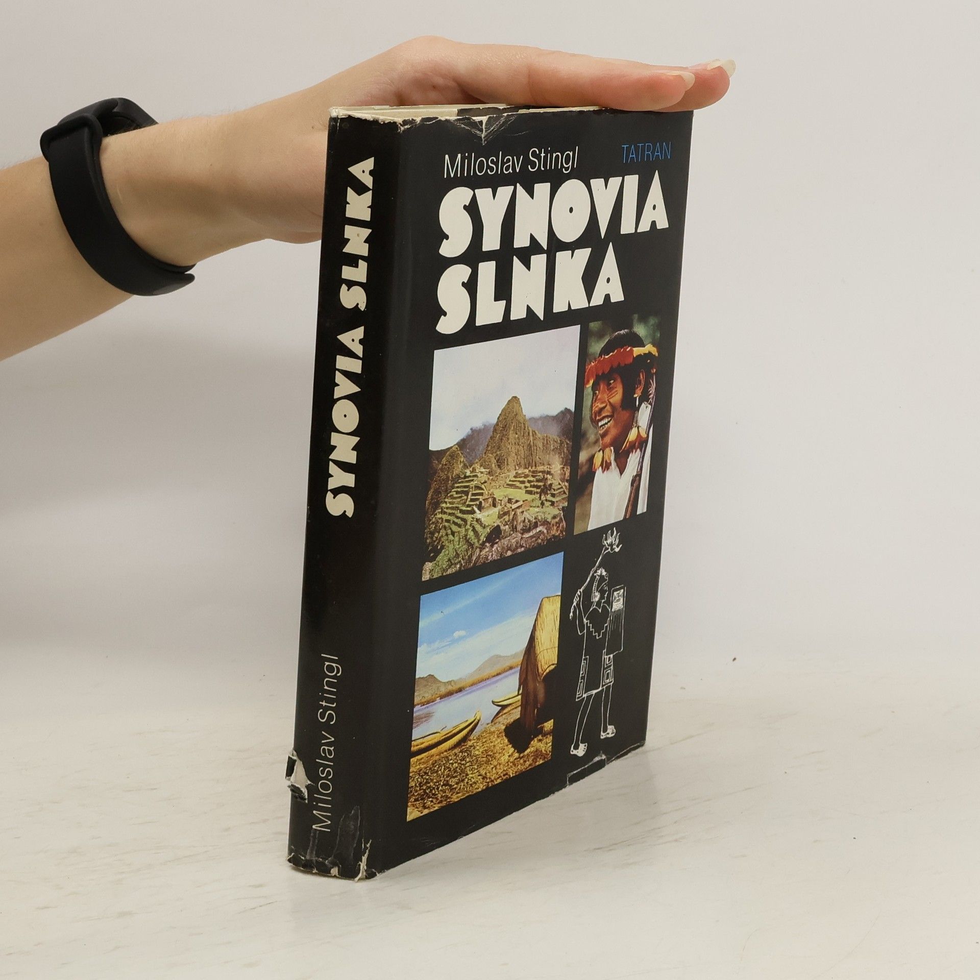 Miloslav Stingl Synovia slnka