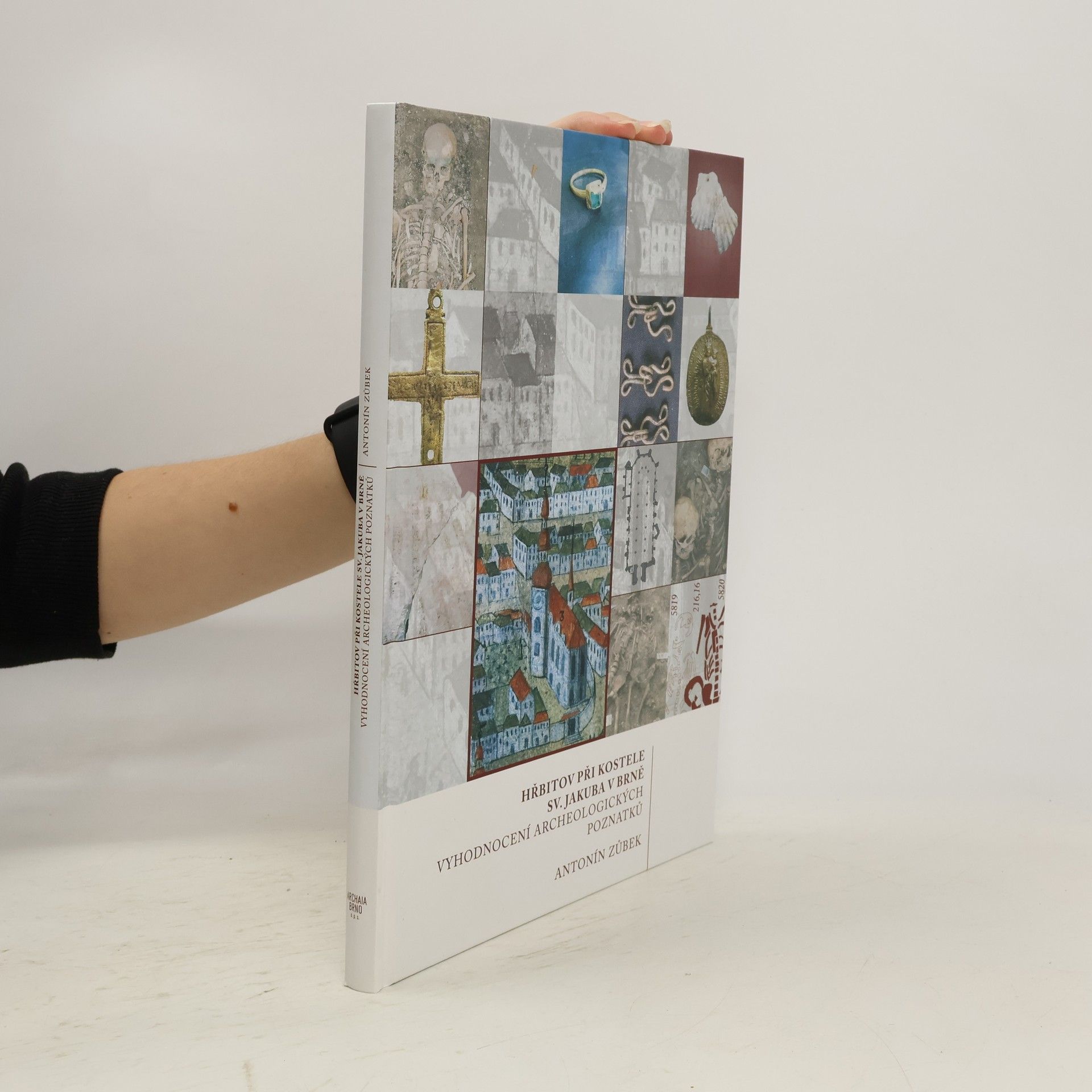 Antonín Zůbek Hřbitov při kostele sv. Jakuba v Brně