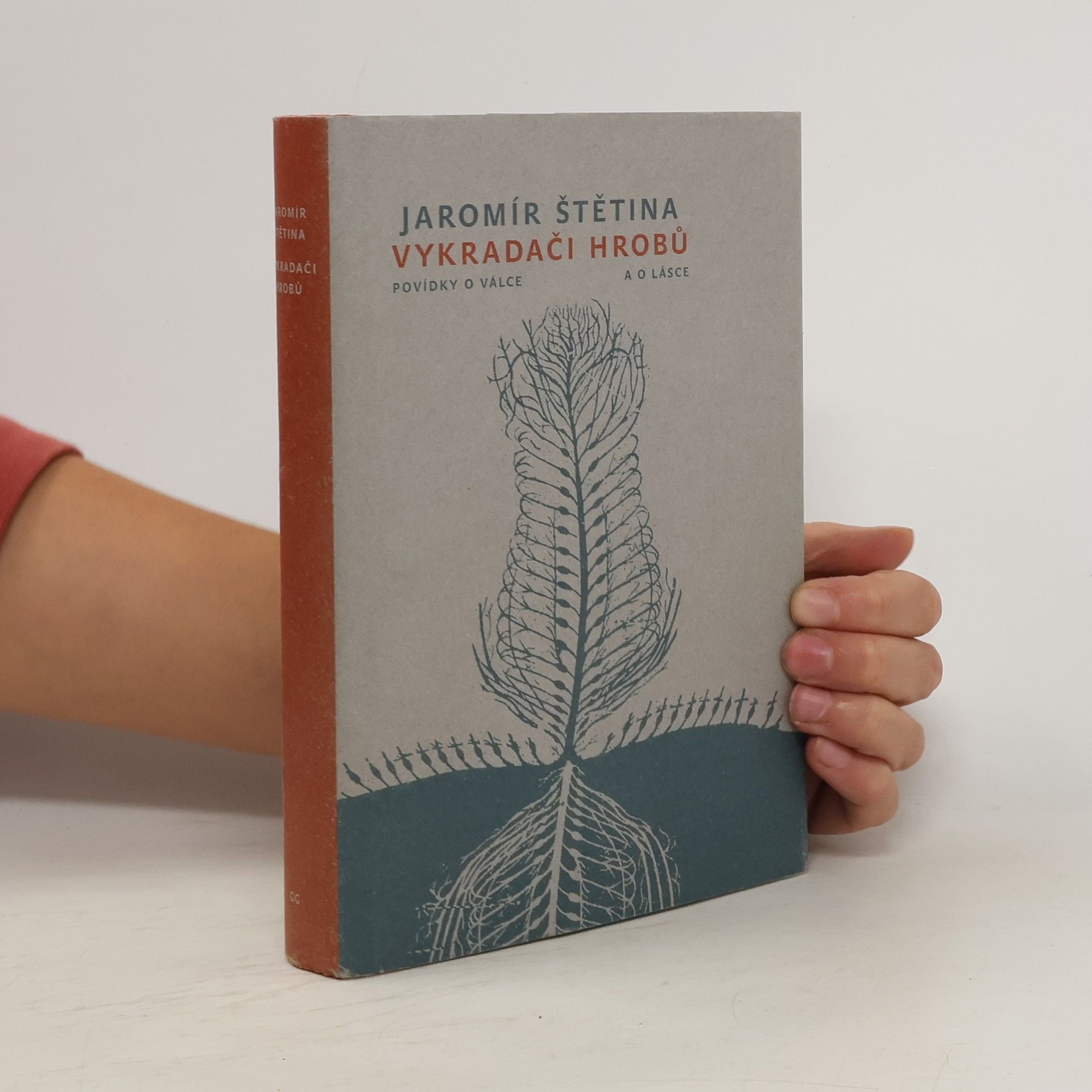 Jaromír Štětina Vykradači hrobů