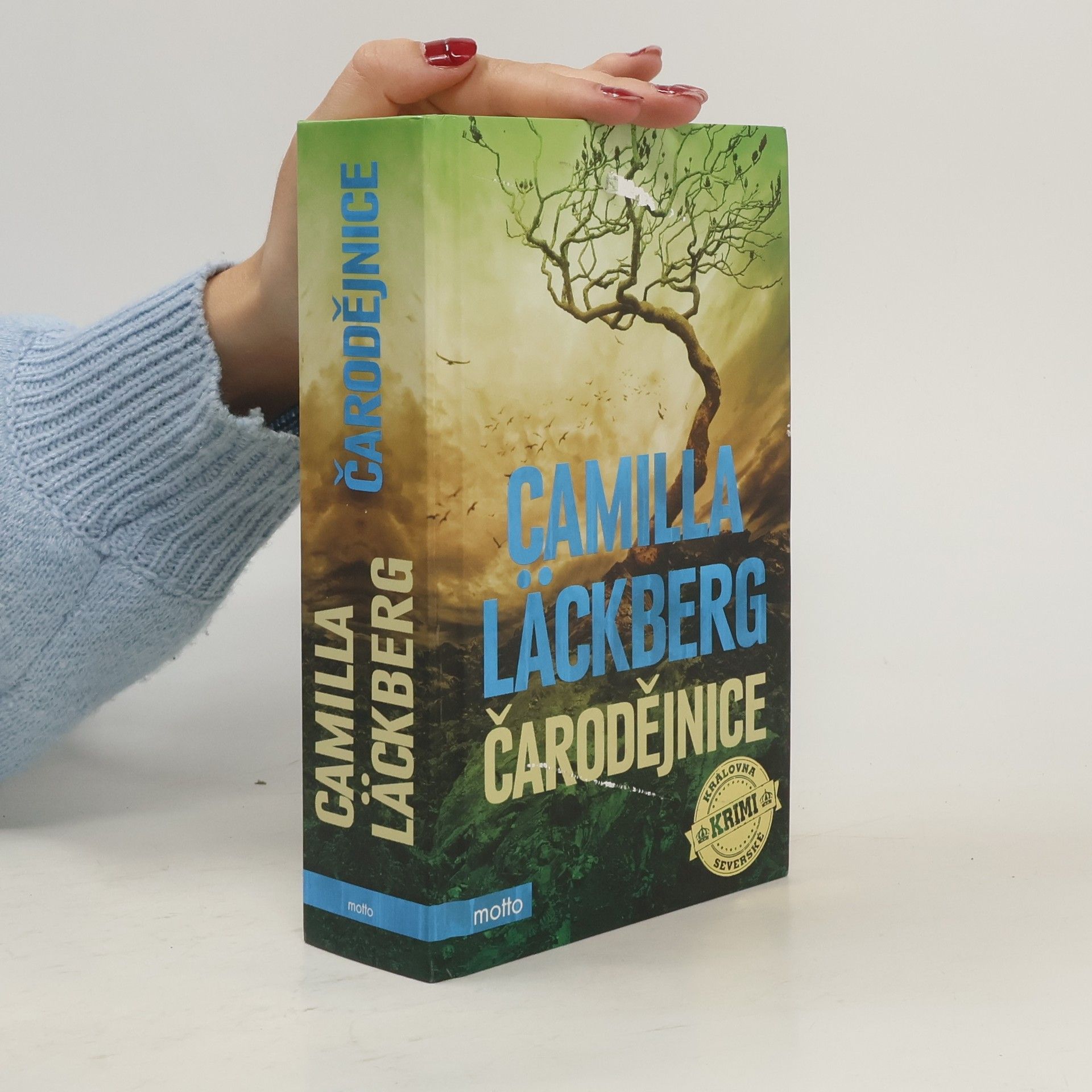 Camilla Läckberg Čarodějnice