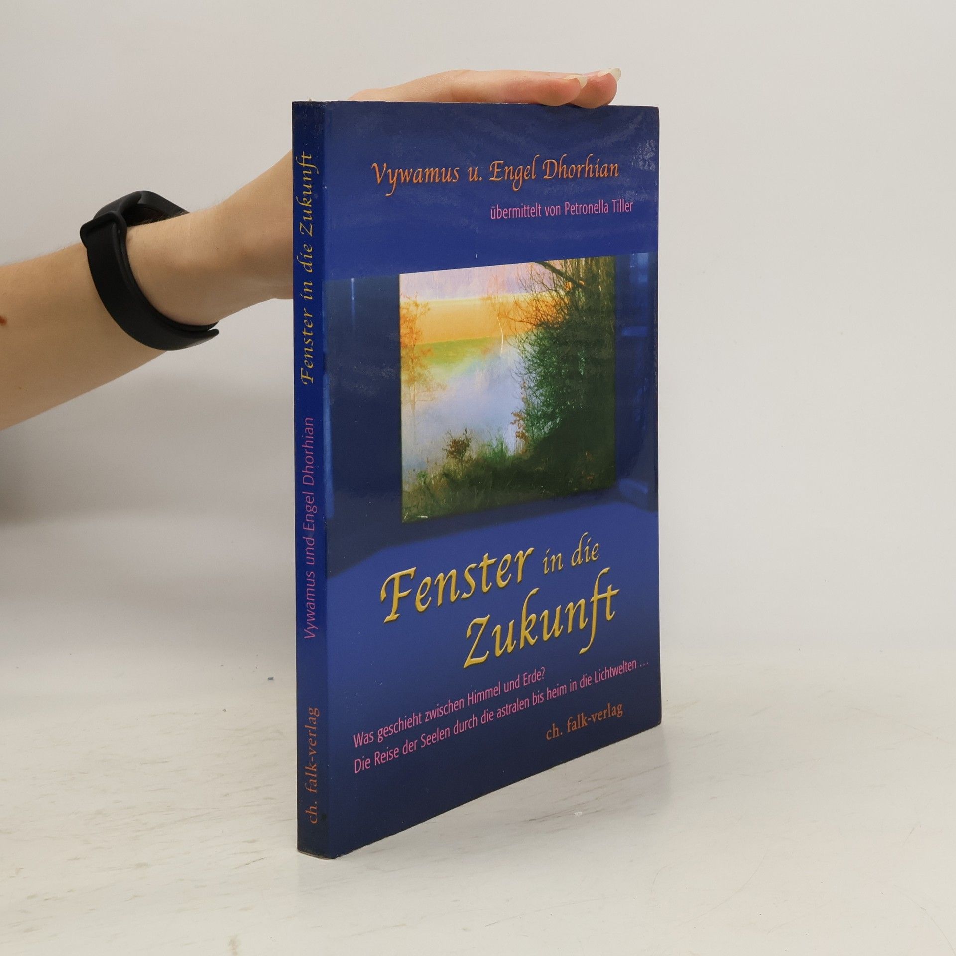 Vywamus Fenster in die Zukunft