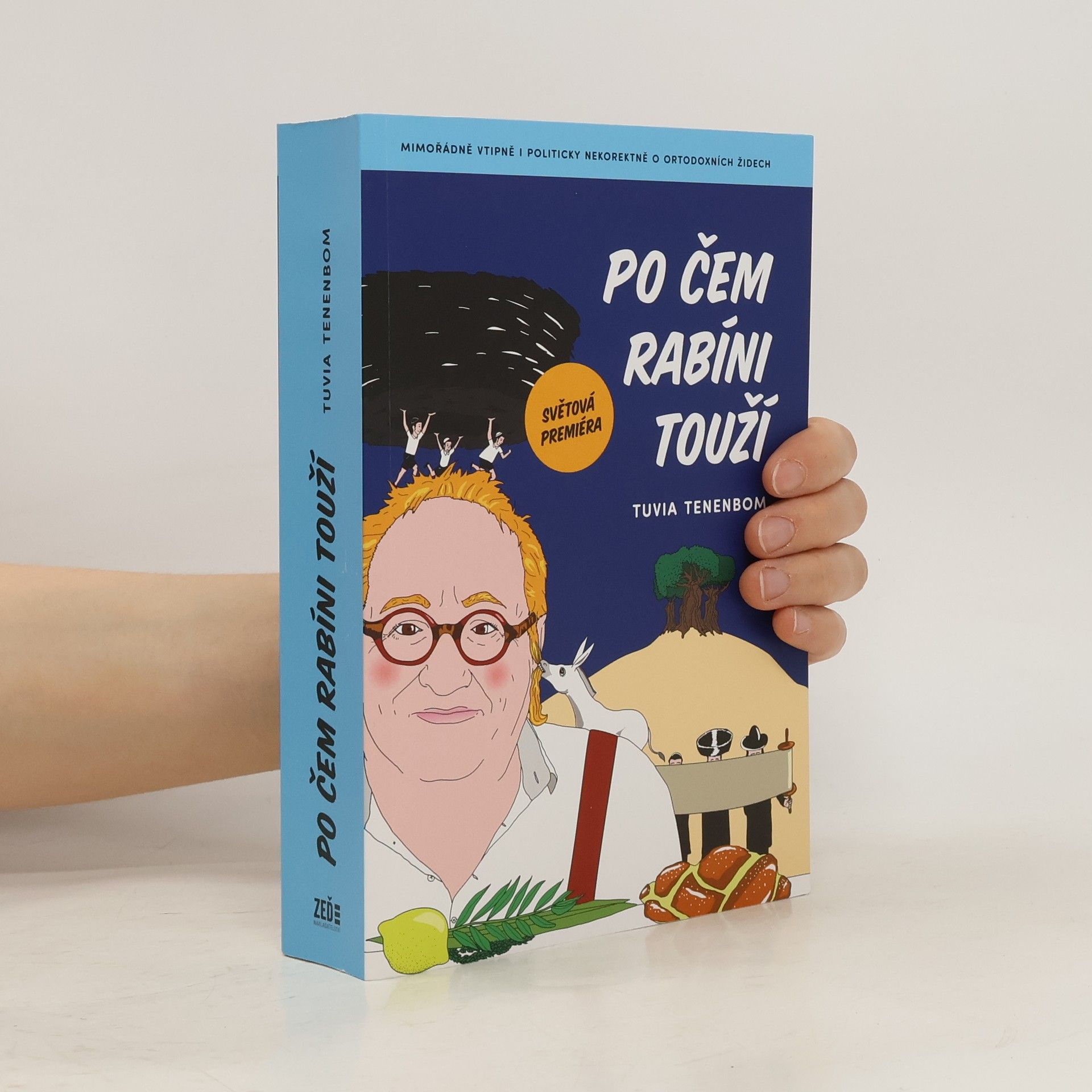 Tuvia Tenenbom Po čem rabíni touží : mimořádně vtipná i politicky nekorektní zpráva o ortodoxních Židech