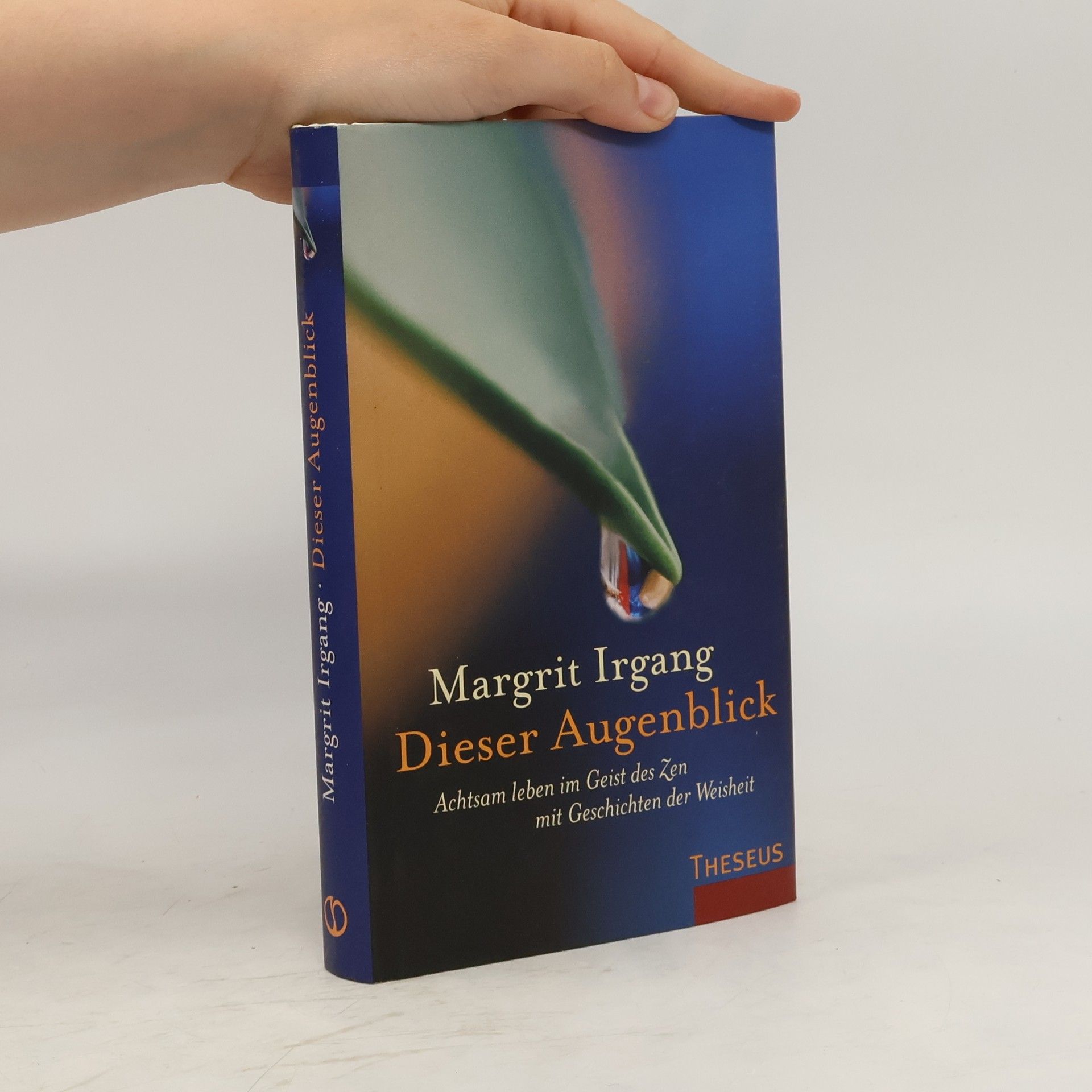 Margrit Irgang Dieser Augenblick