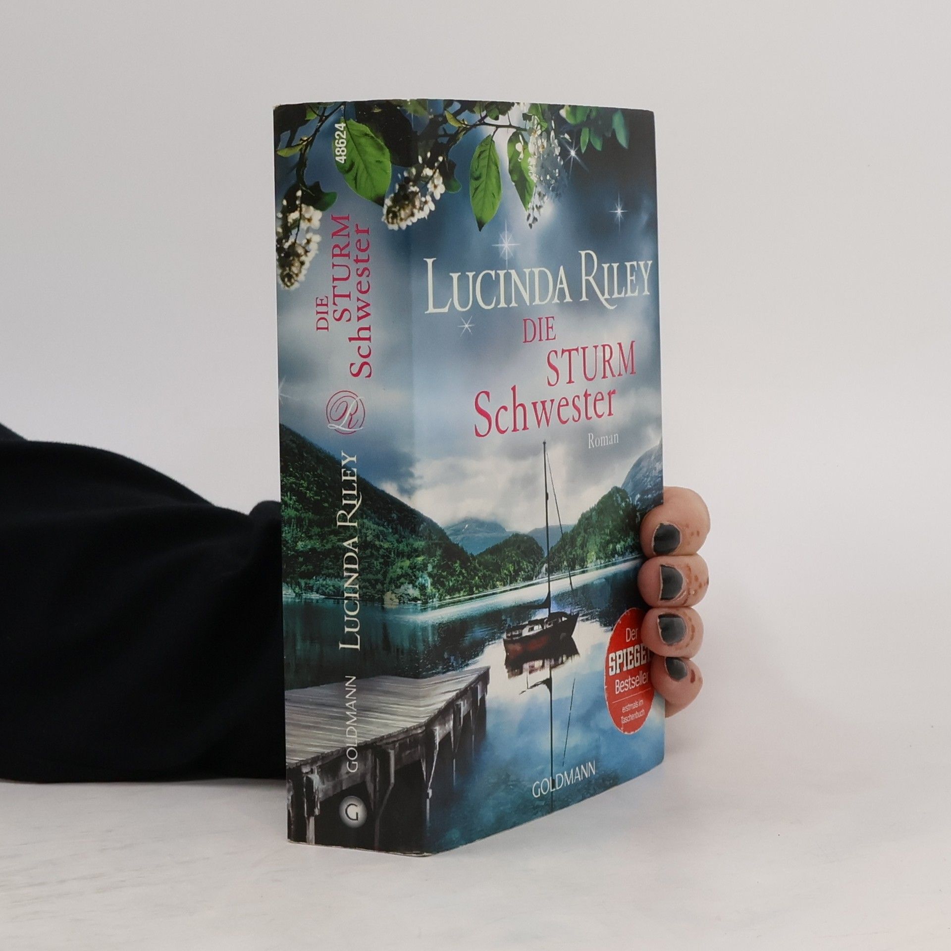 Lucinda Riley Die Sturmschwester