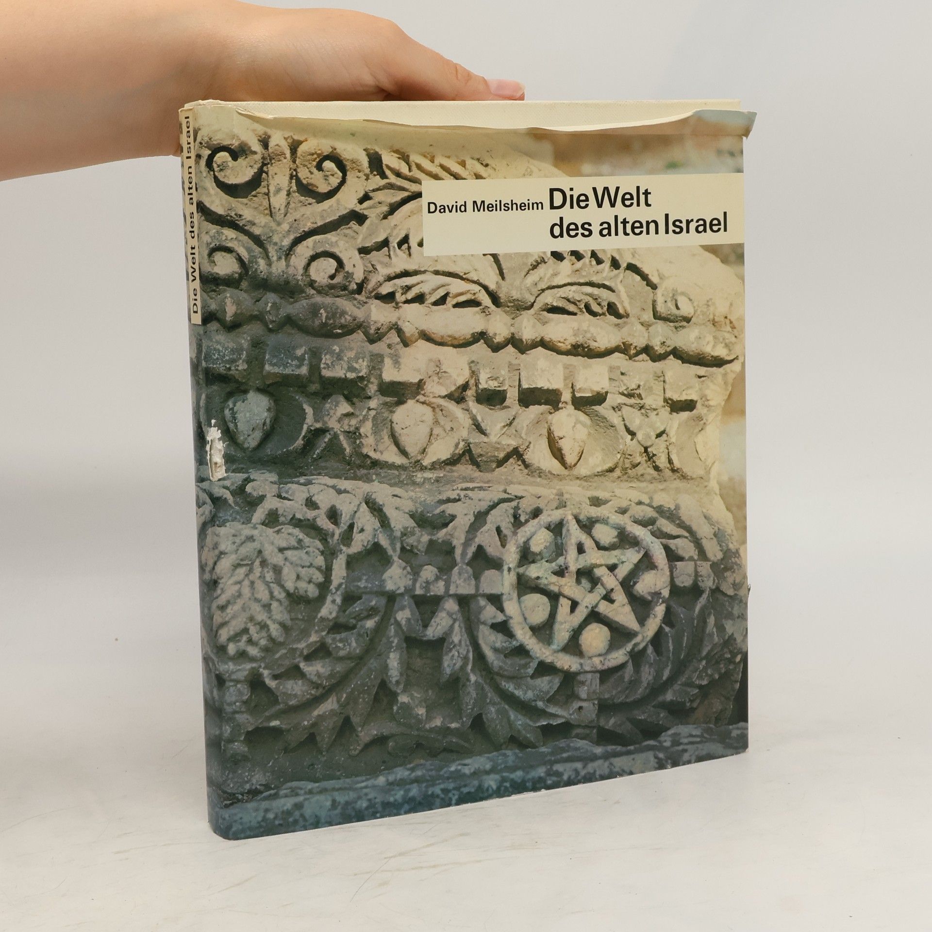 David Meilsheim Die Welt des alten Israel