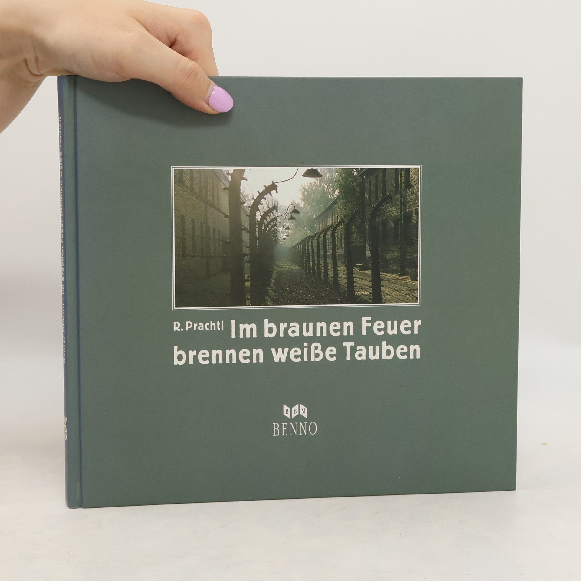 Rainer Prachtl Im braunen Feuer brennen weisse Tauben