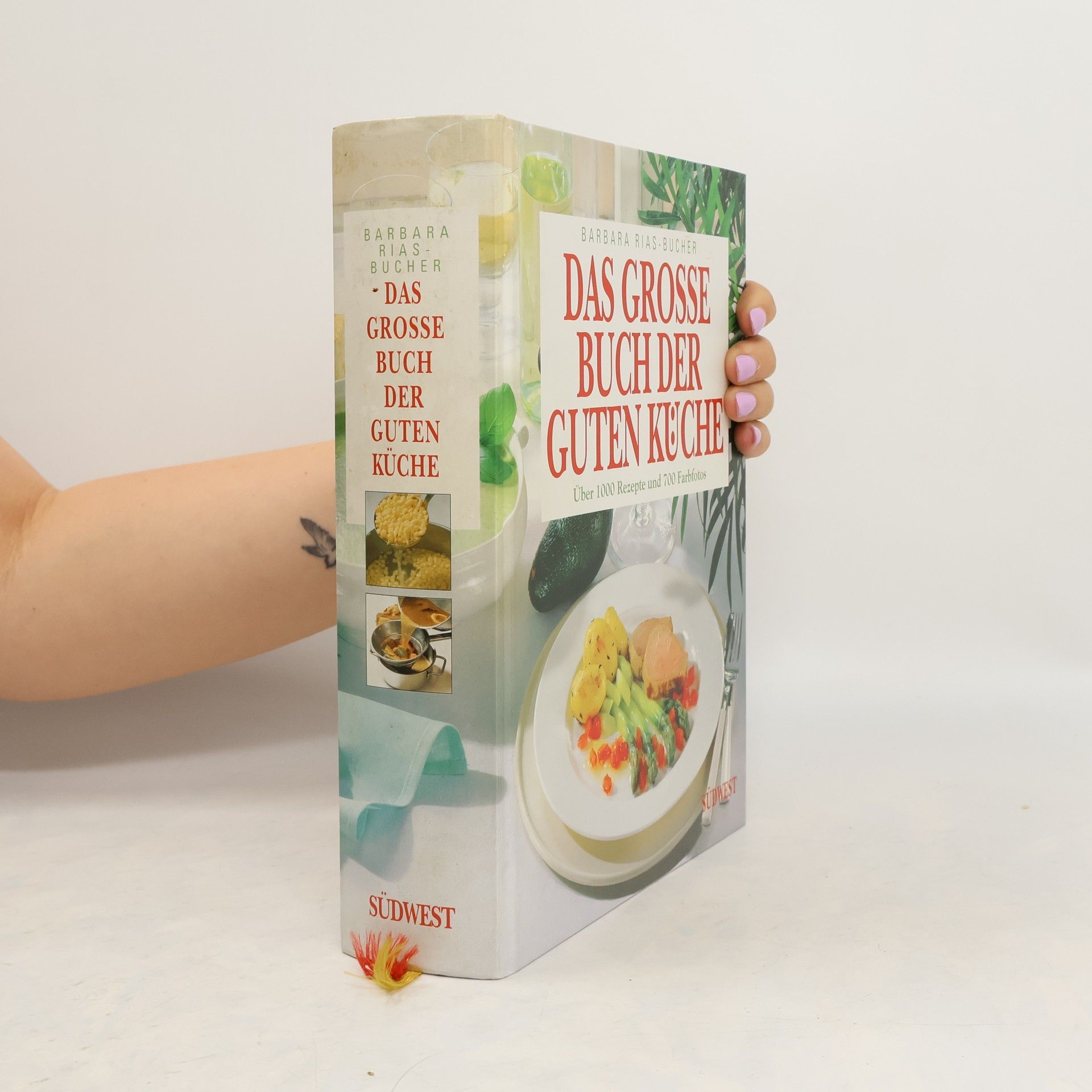 Barbara Rias-Bucher Das grosse Buch der guten Küche