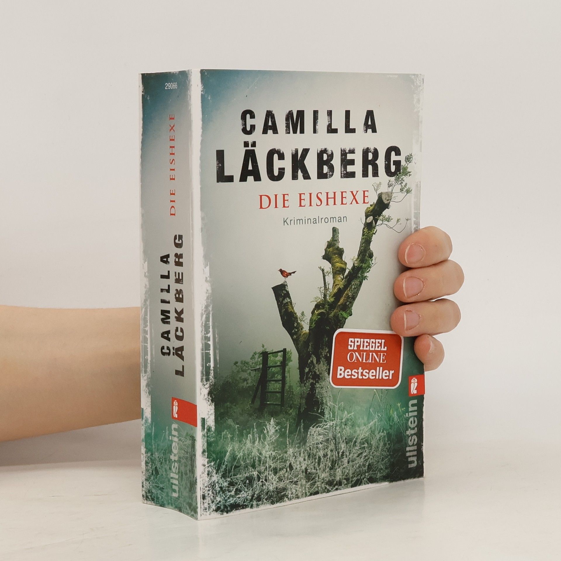 Camilla Läckberg Die Eishexe