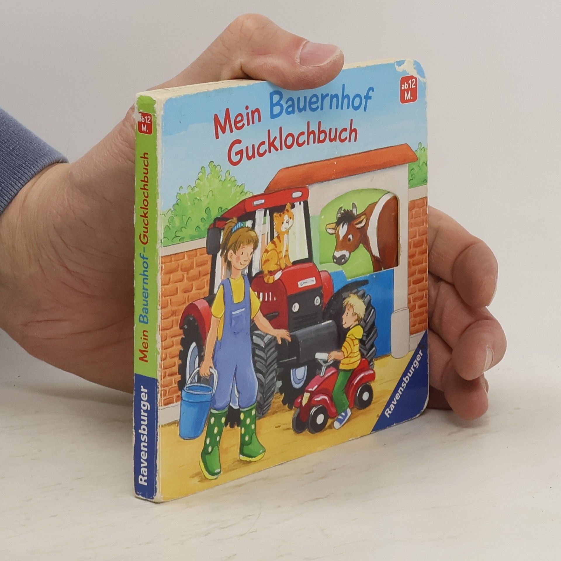 Antje Flad Mein Bauernhof Gucklochbuch