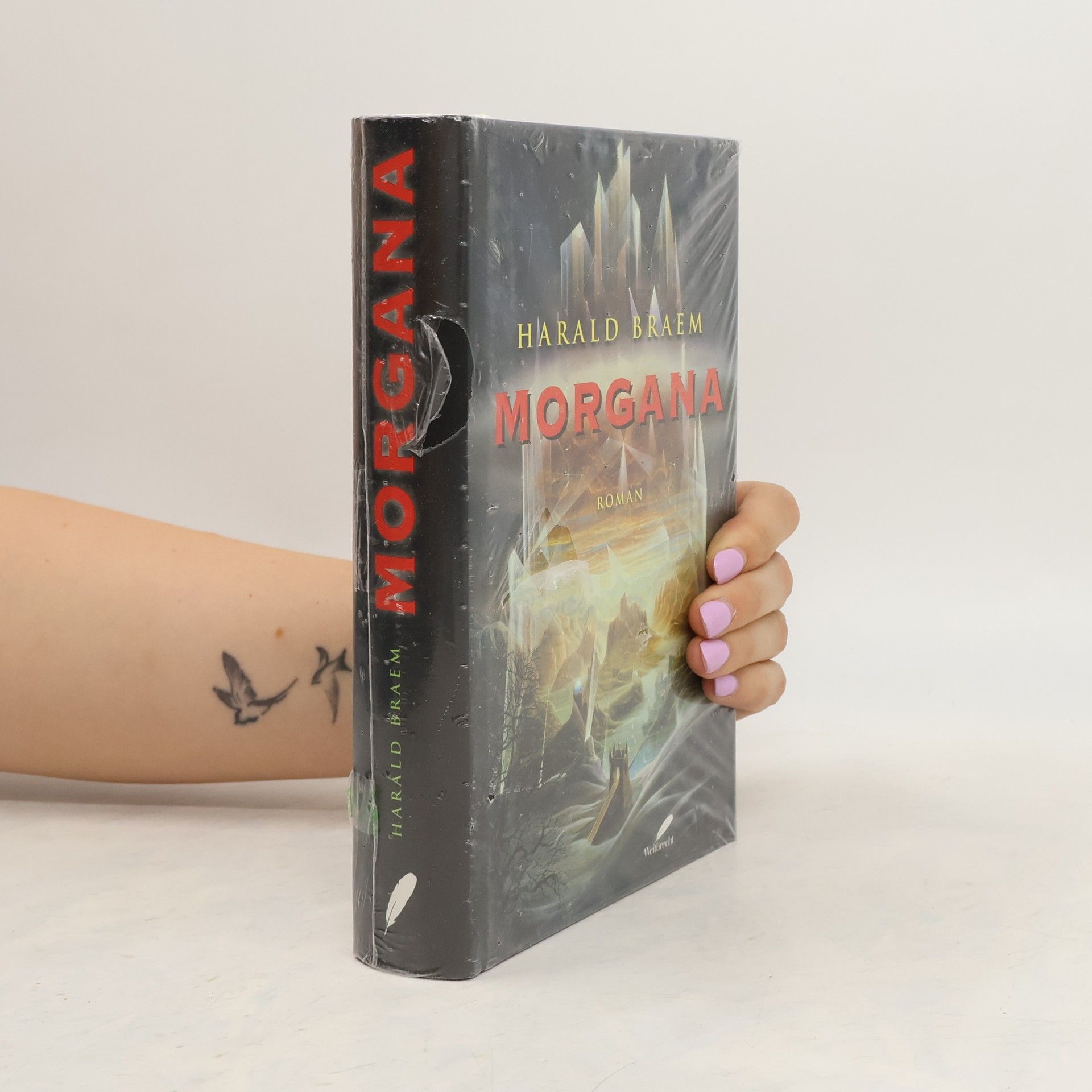 Harald Braem Morgana. Oder die Suche nach dem verlorenen Land. Roman