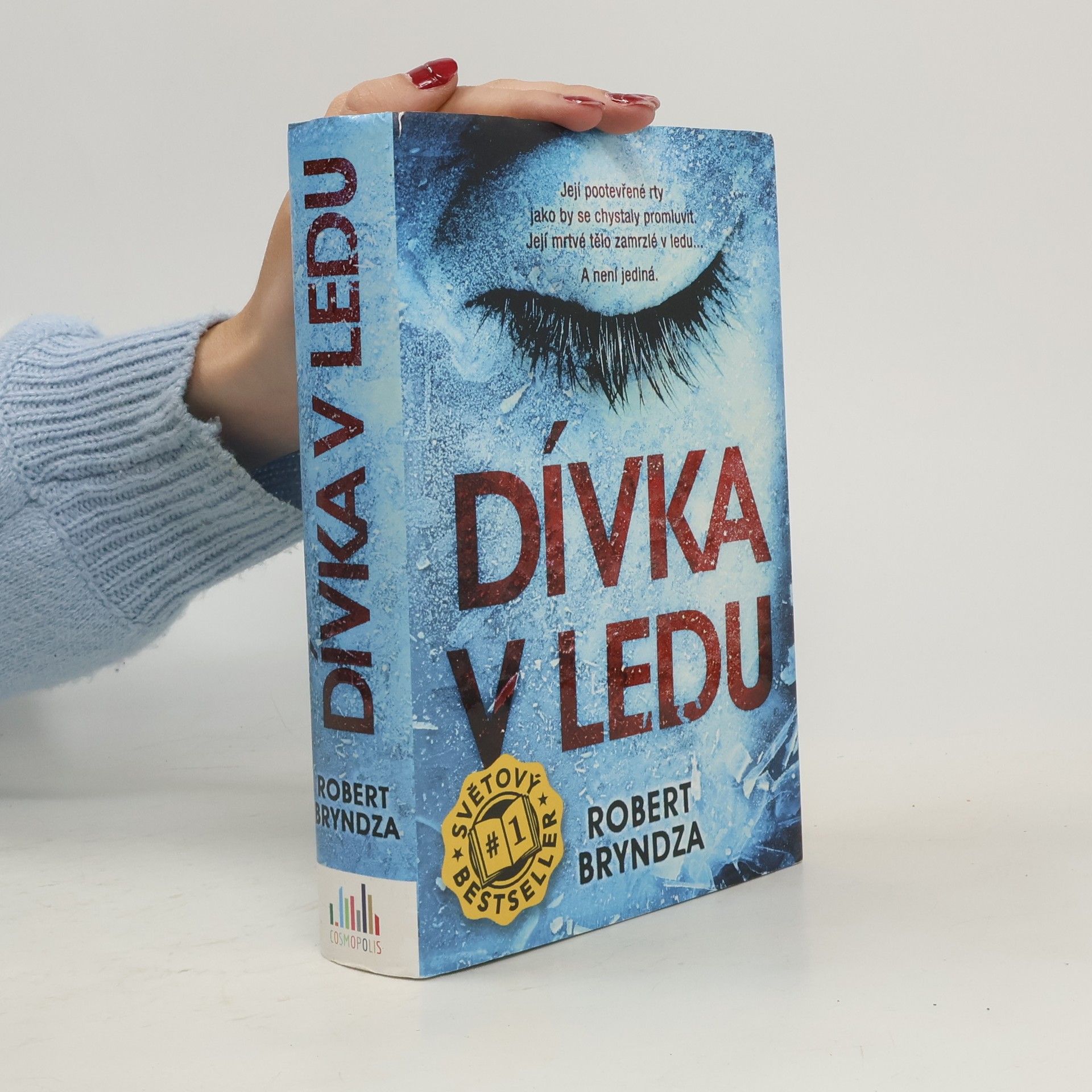 Robert Bryndza Dívka v ledu