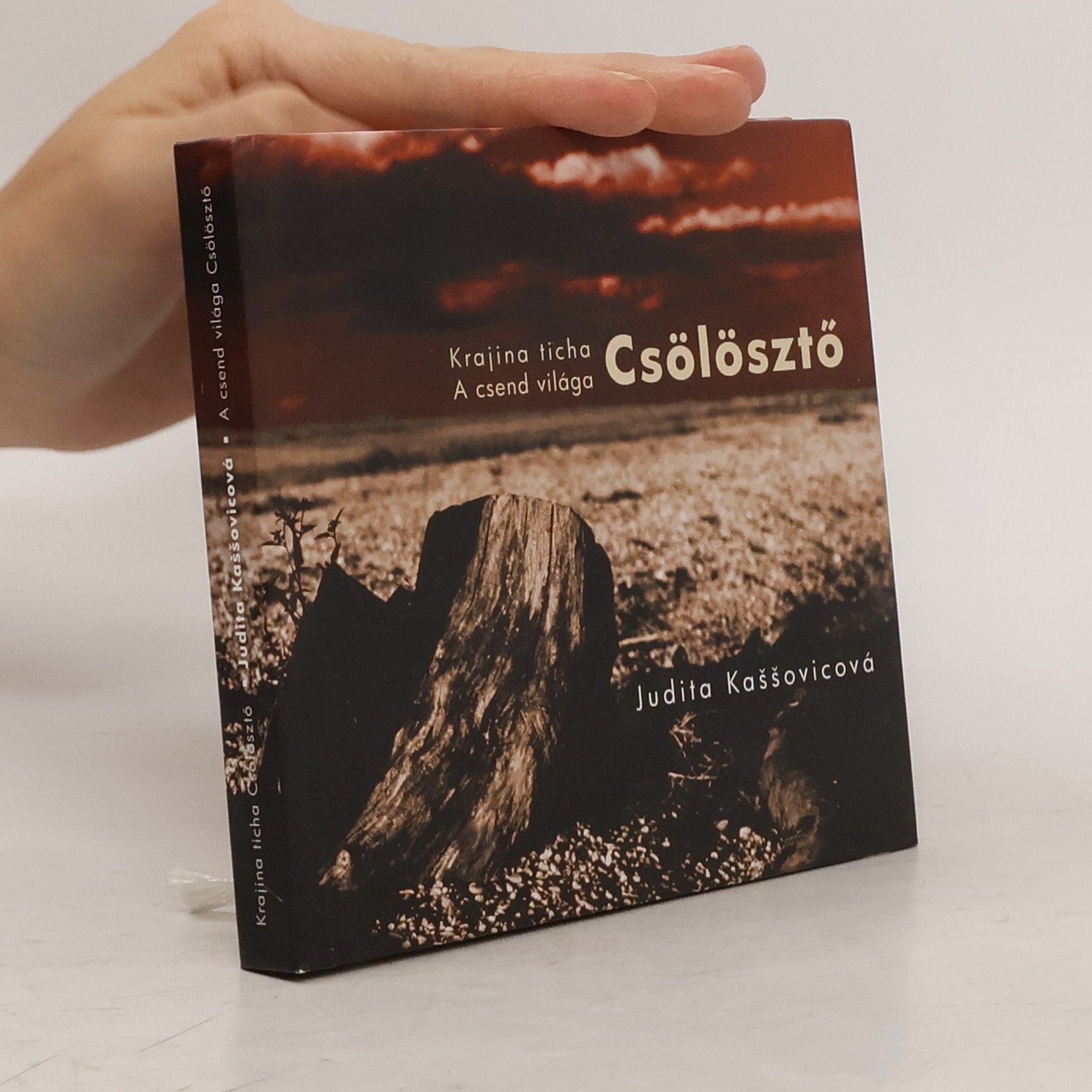 Judita Kaššovicová Krajina ticha Csölösztő