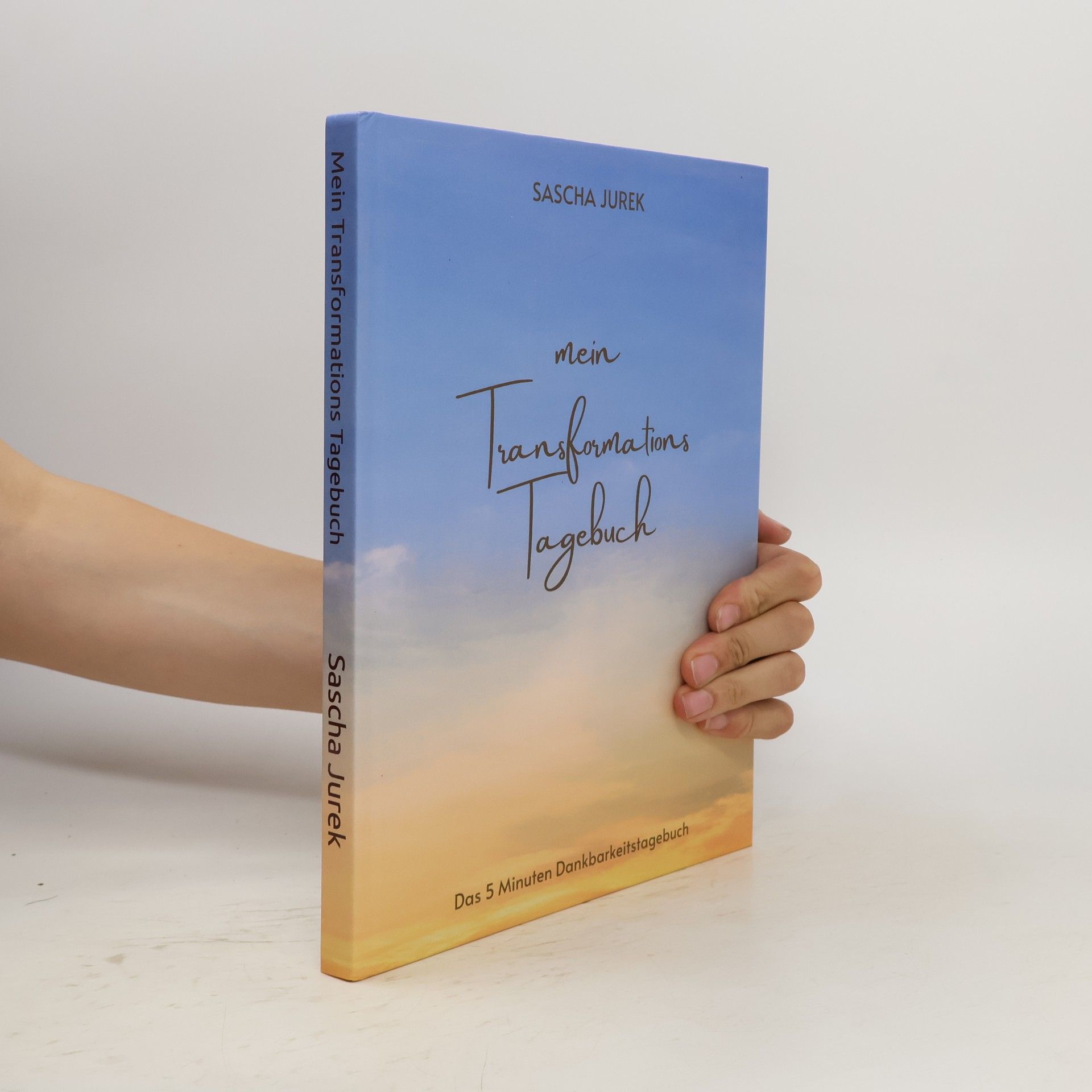 Sascha Jurek Mein Transformations Tagebuch