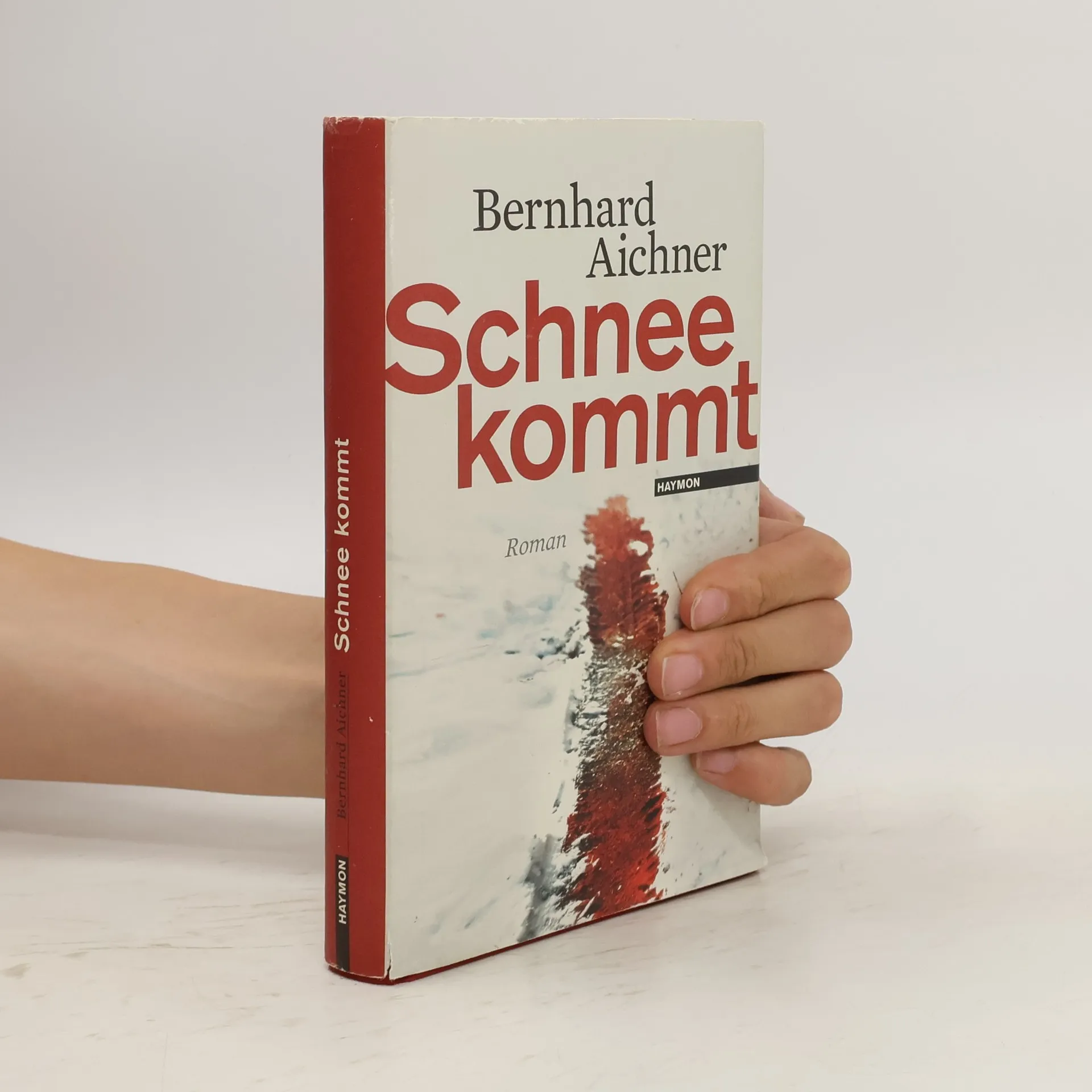 Schnee kommt | Book | Bernhard Aichner | DE
