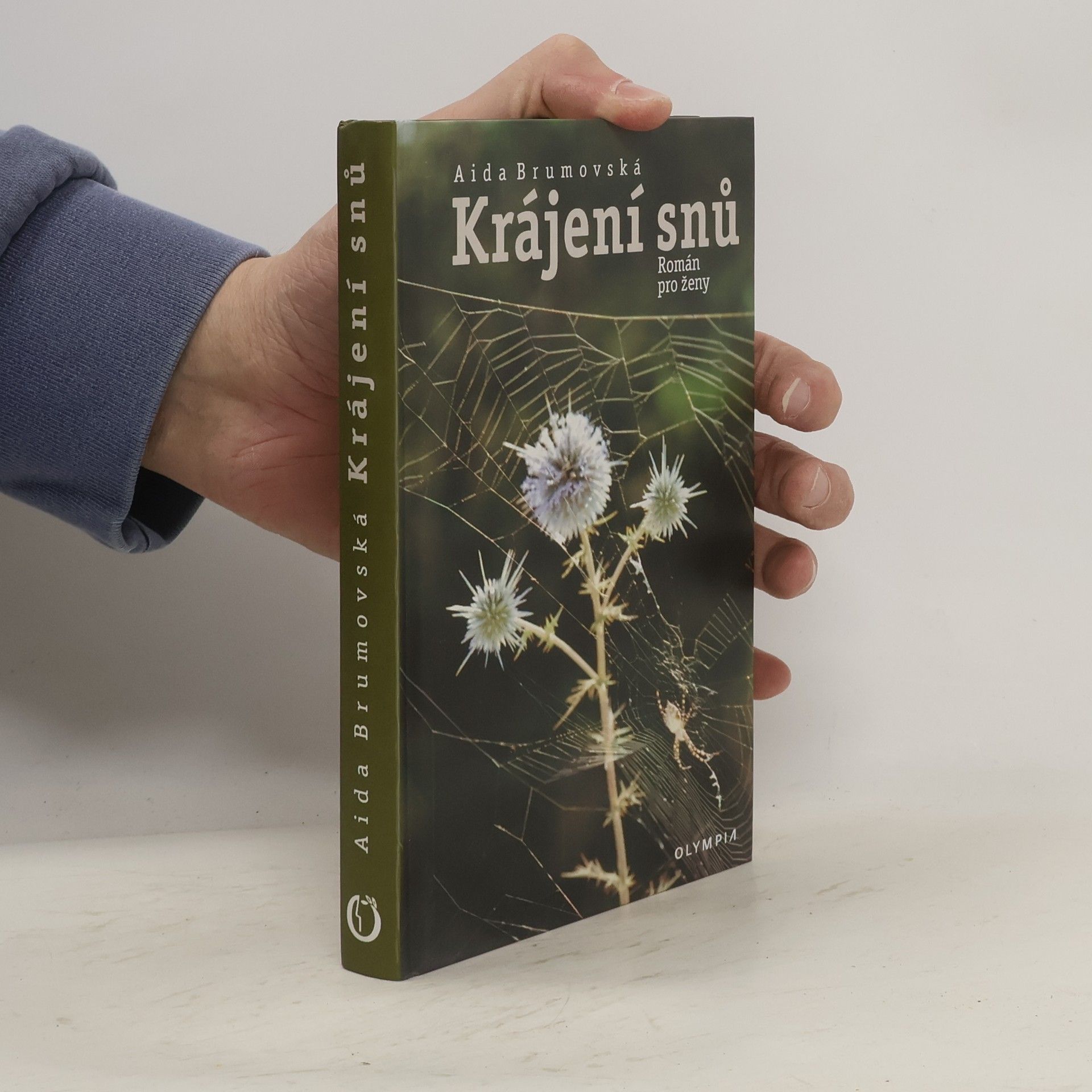 Aida Brumovská Krájení snů