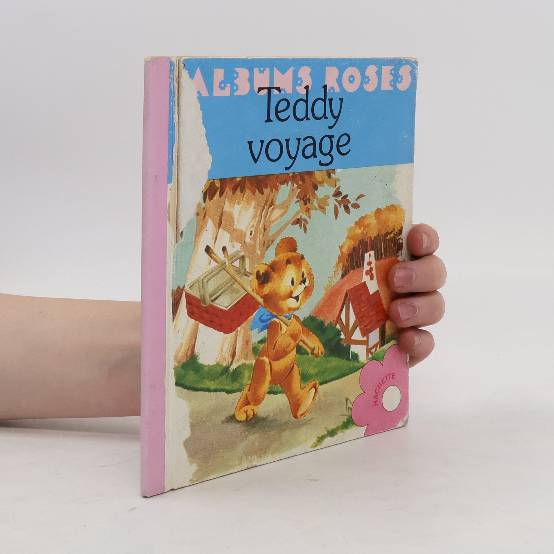 Collectif d'auteurs Teddy voyage